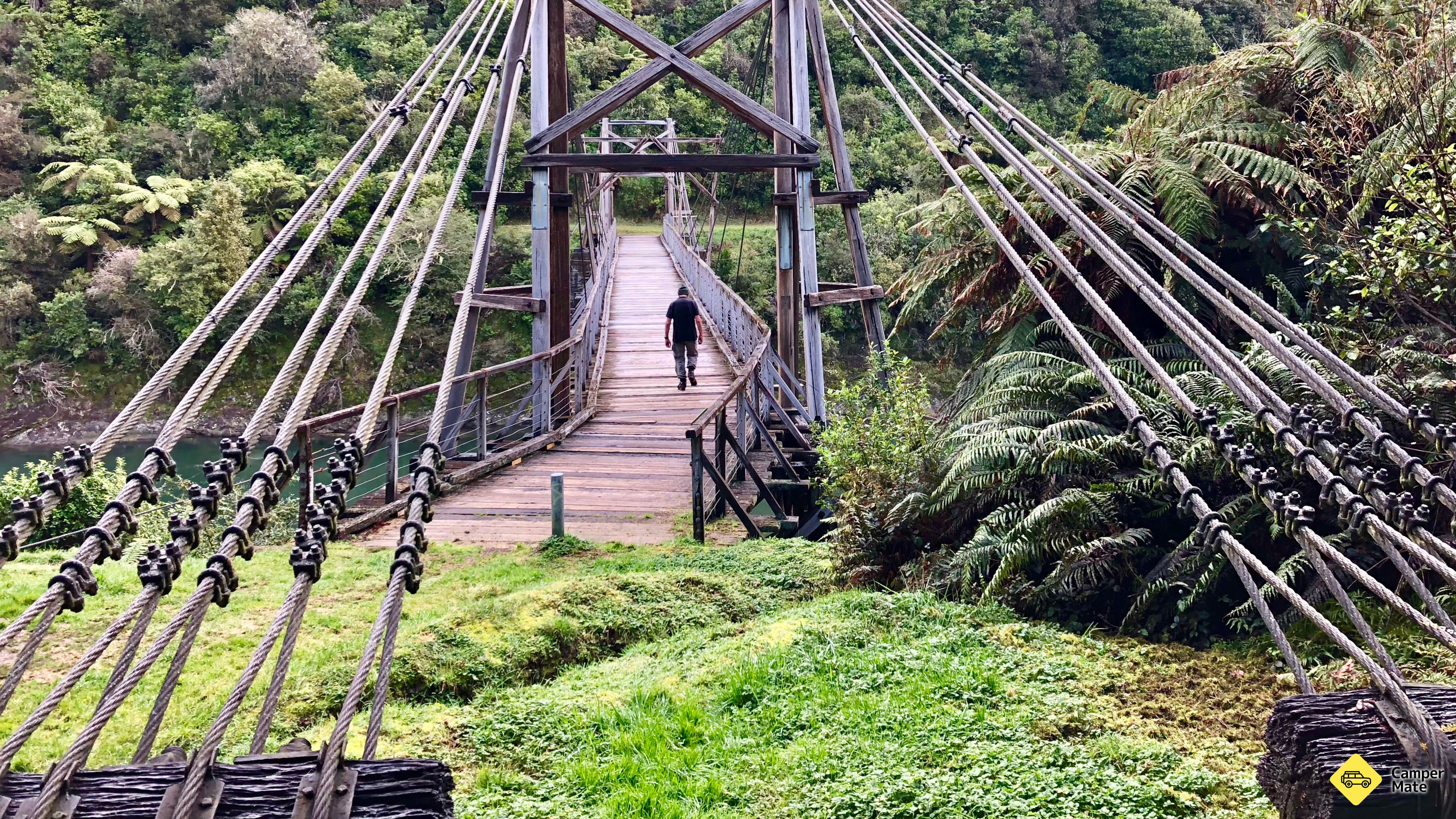 Tauranga Loop trať