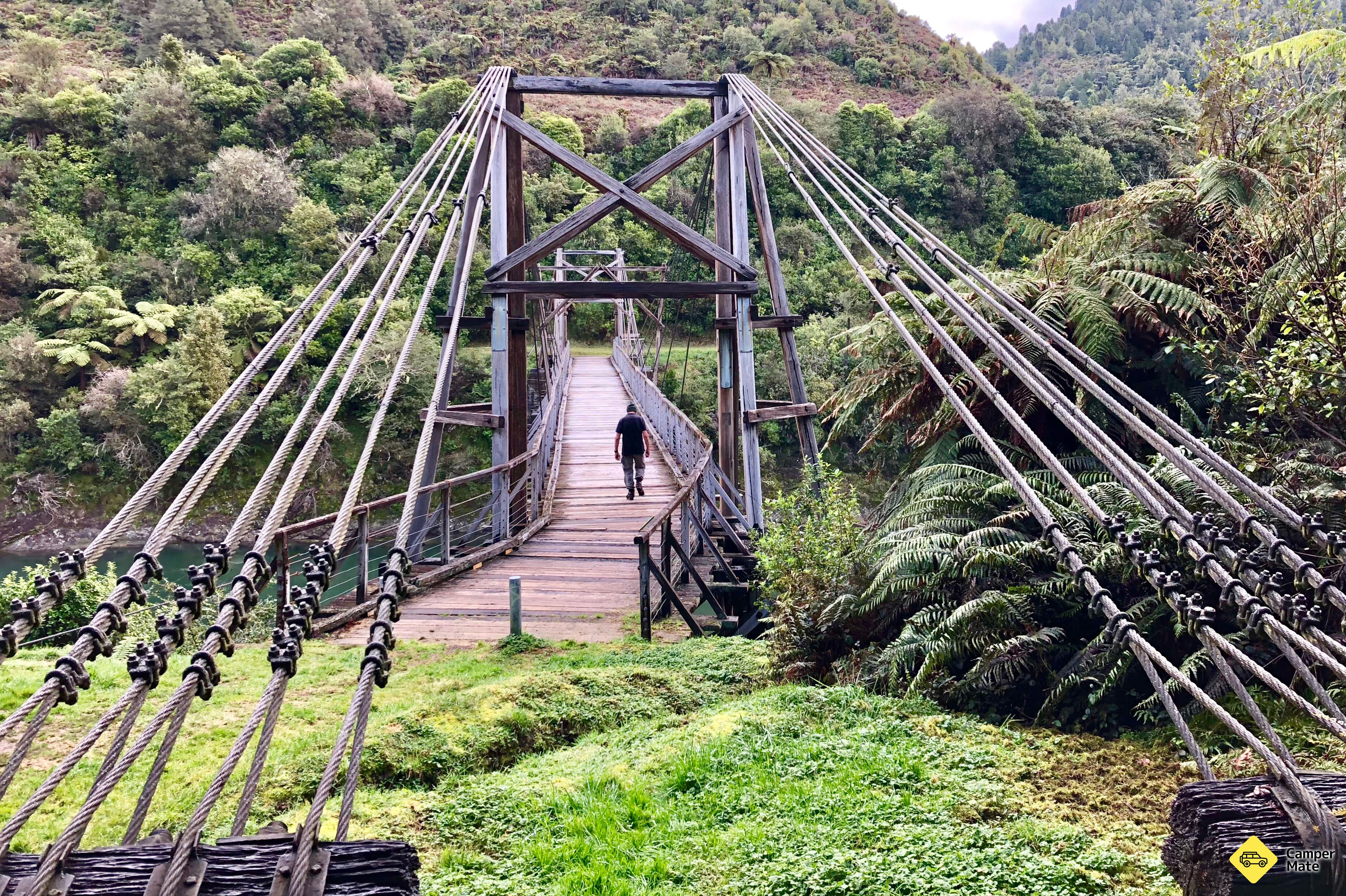 Tauranga Loop Track