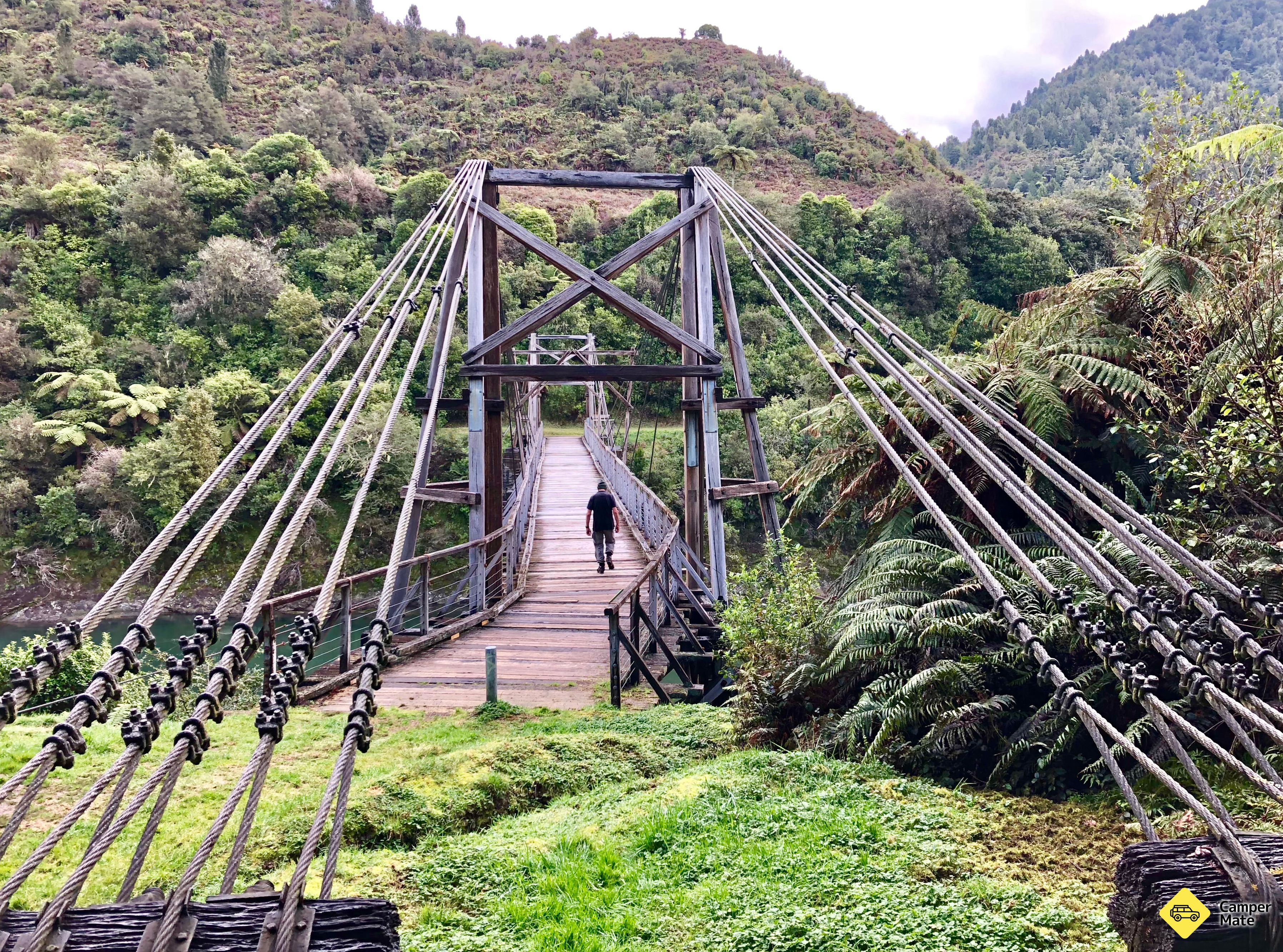 Tauranga Loop Track