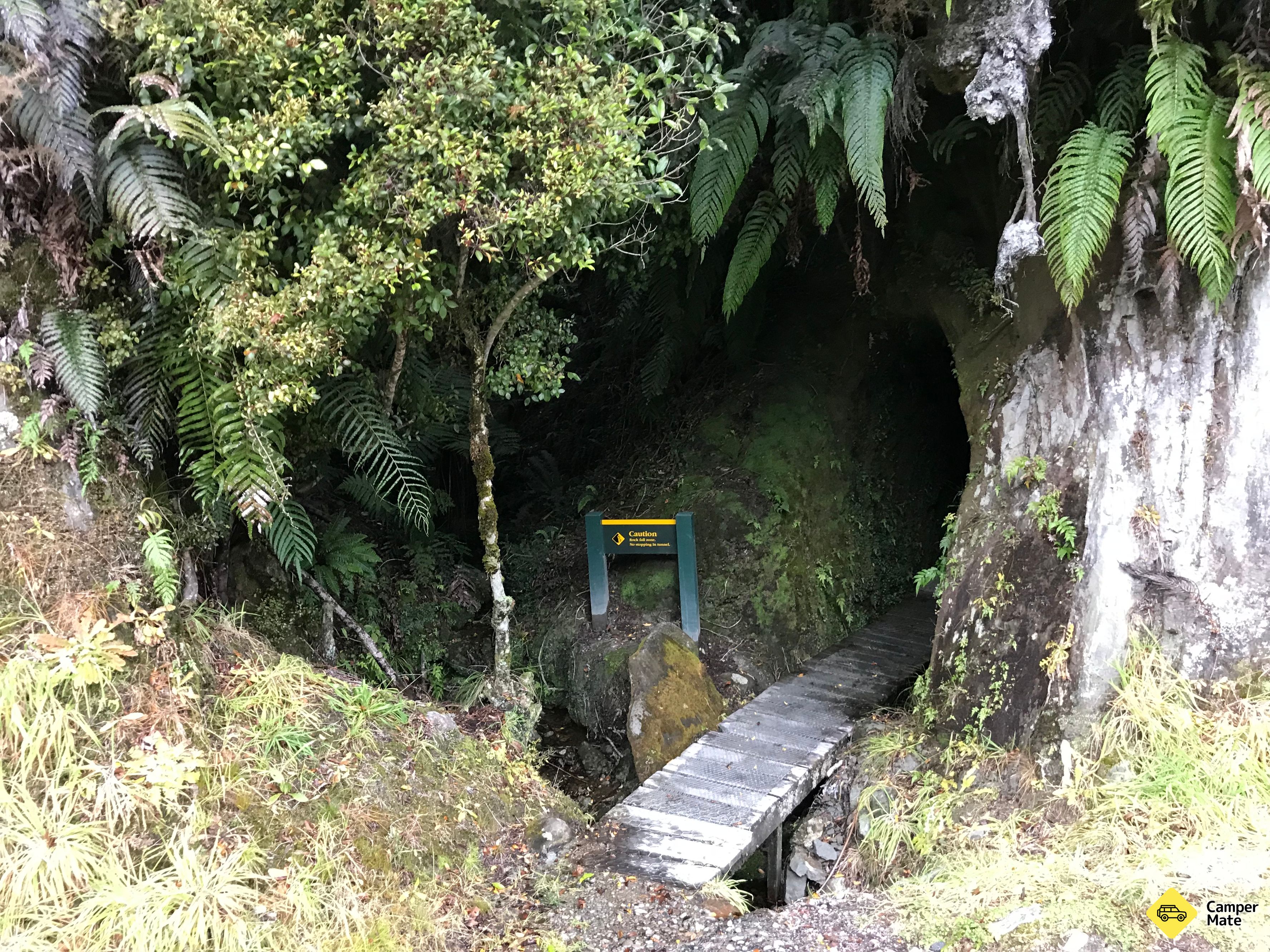 Blue Spur Bushwalk - Image 2