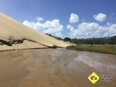 Te Paki Sand Dunes  Giant Sand Dunes