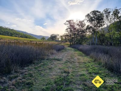  Blackfellow Creek Trail