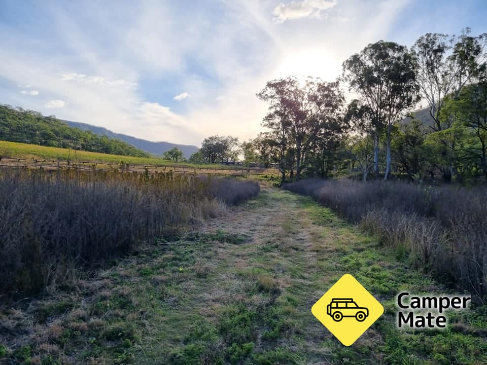  Blackfellow Creek Trail