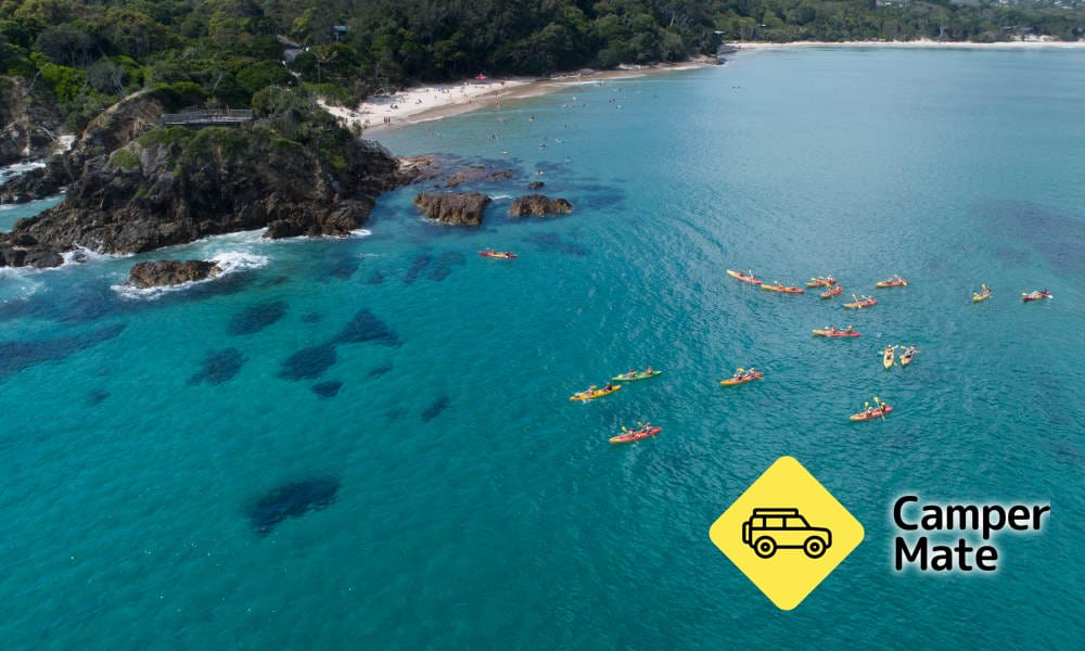 Overzicht van Byron Bay Dolphin Kayaking Tour
