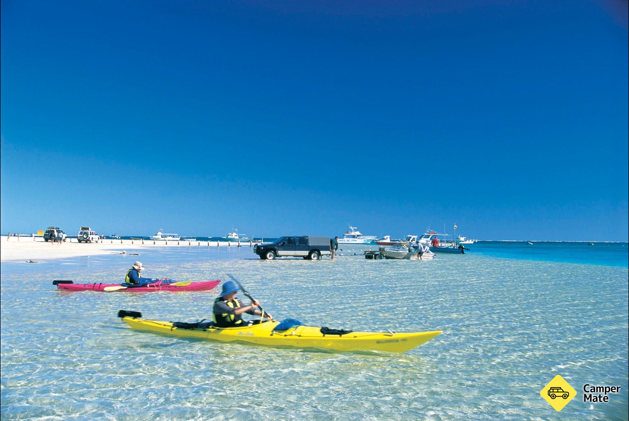 Bill's Bay Shark Nursery - Image 2