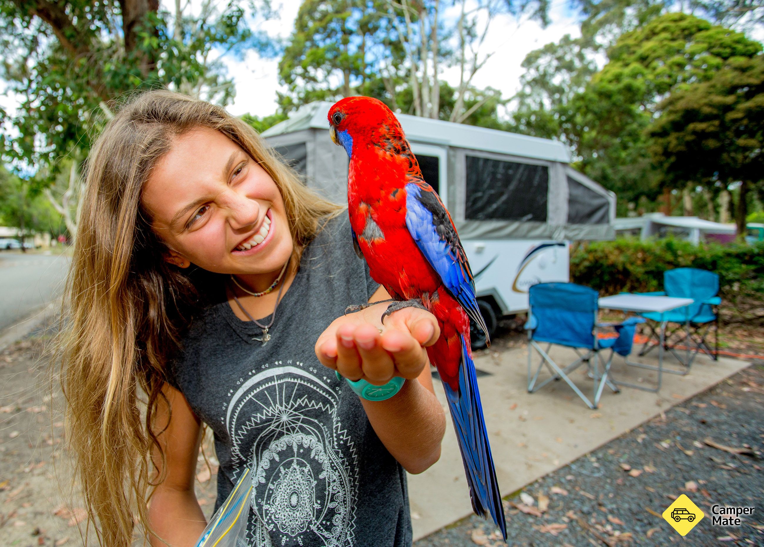 BIG4 Yarra Valley Park Lane Holiday Park - Image 2