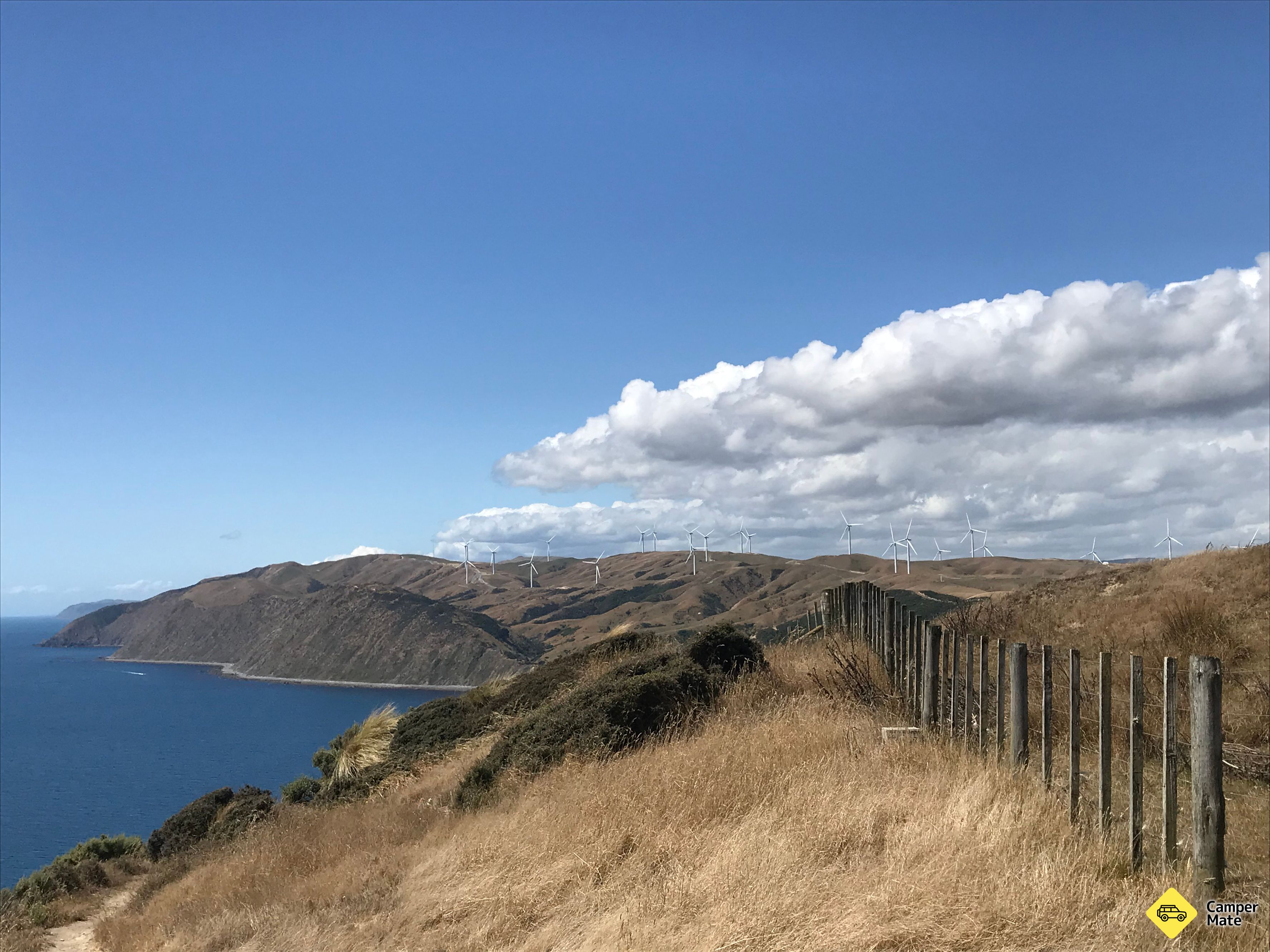 Makara Walkway - Image 3