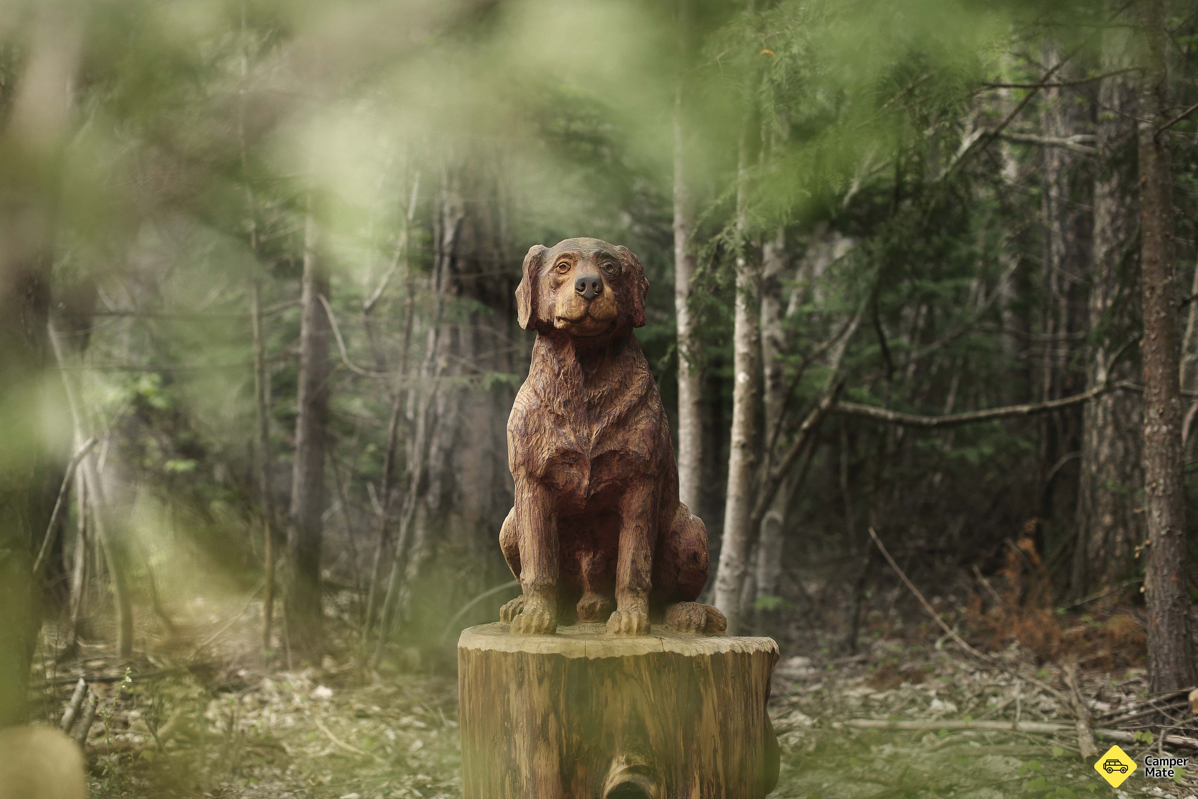 Parcours de la sculpture de Forest Amble - Image 2