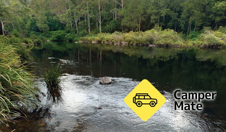 Cod Hole Campground