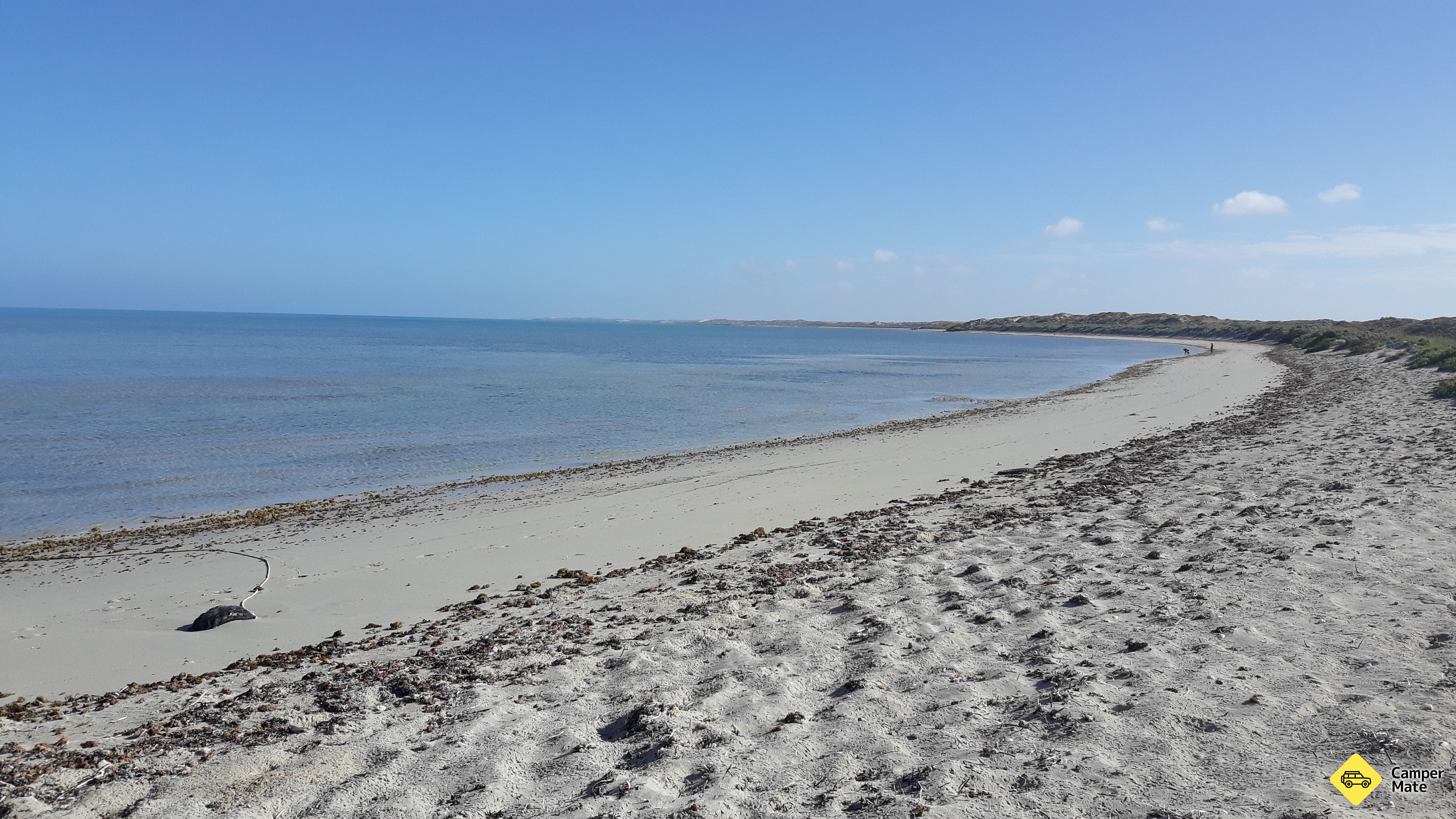 Bruboodjoo Campground - Image 3