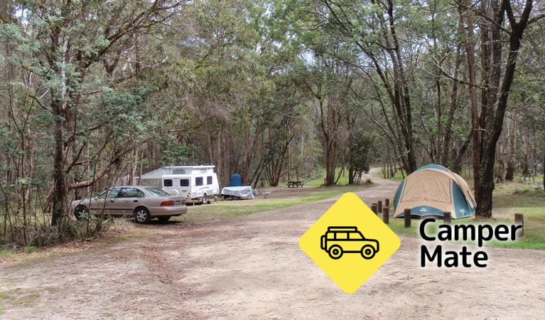 Native Dog Campground - Image 2