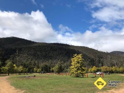 Merringtons Flat - Thomson State Forest