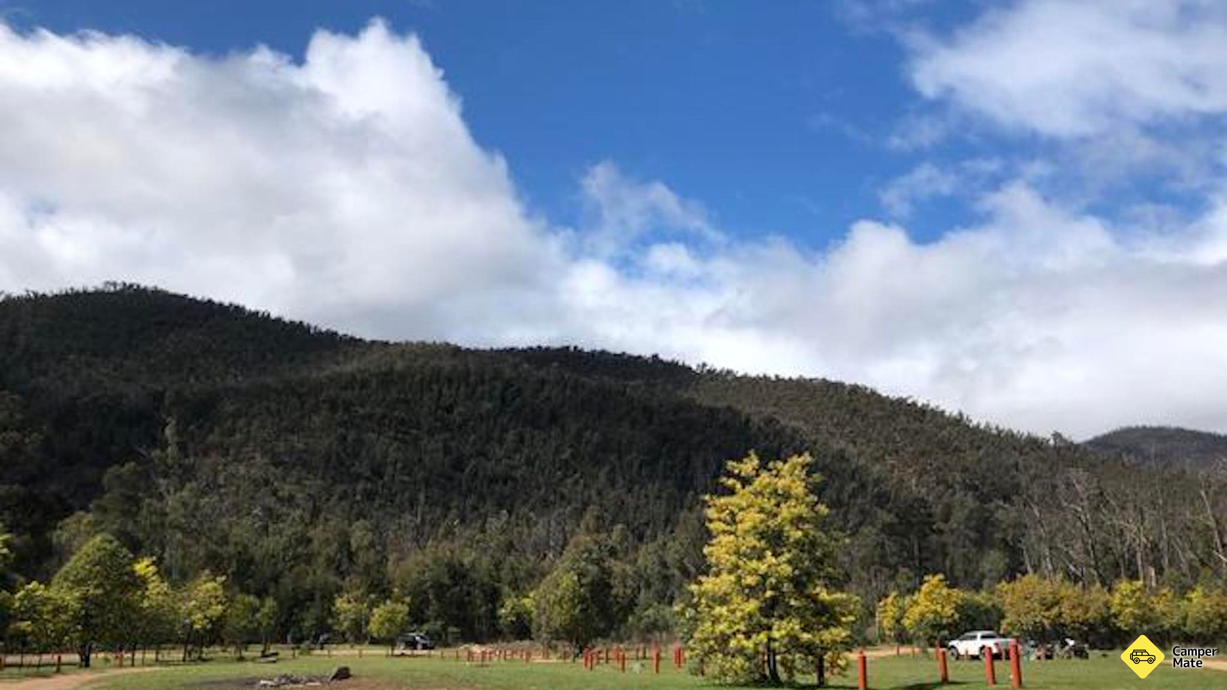 Merringtons Flat - Thomson State Forest