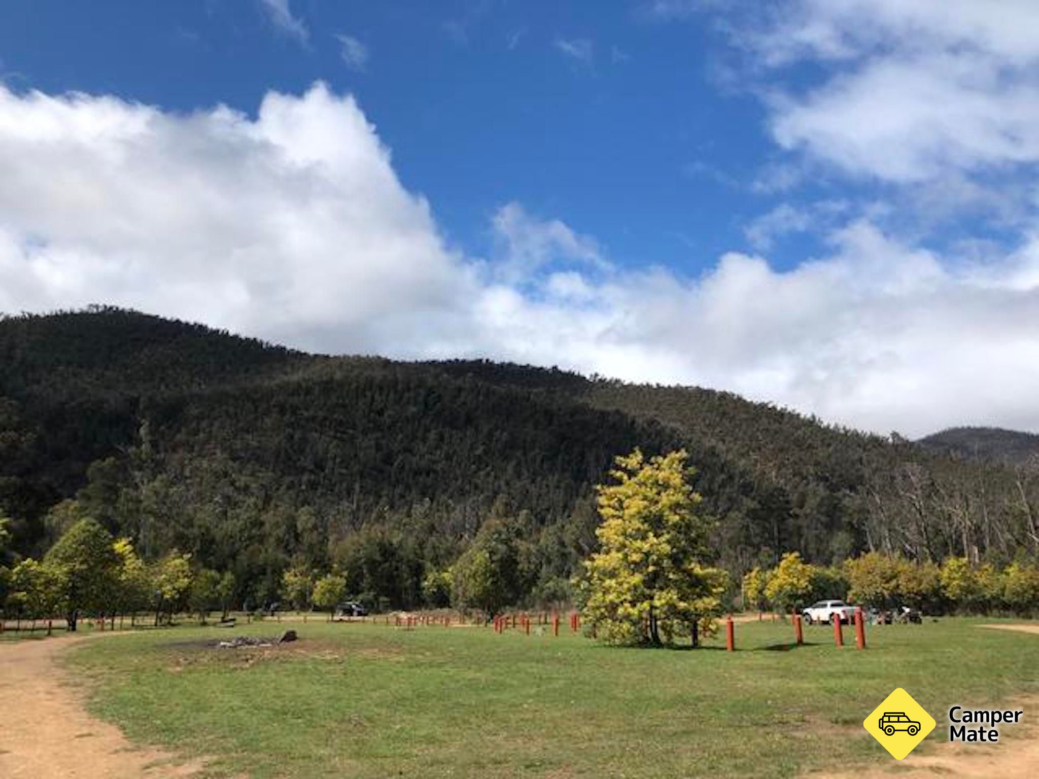 Merringtons Flat - Thomson State Forest