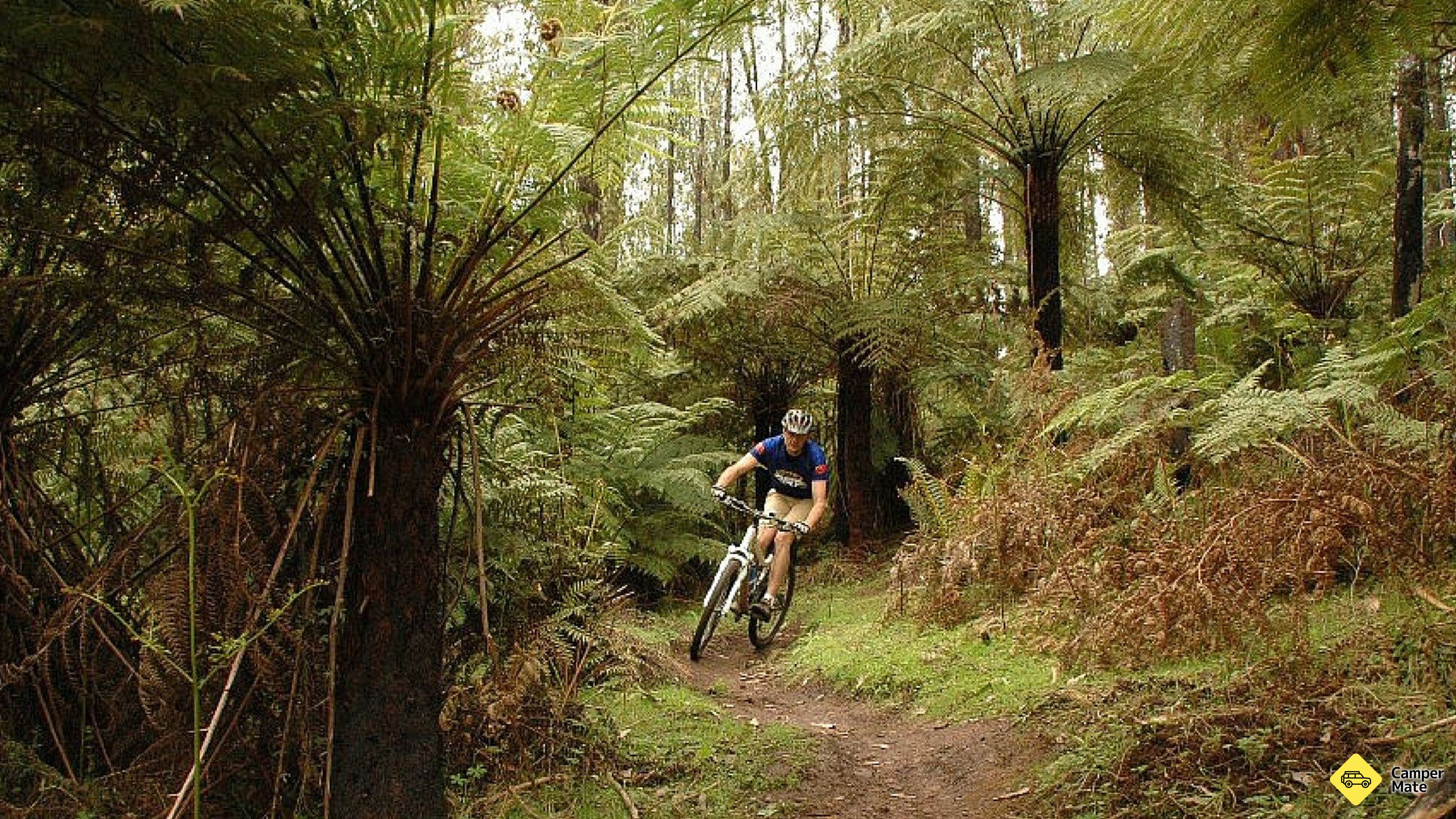 Der Buxton Mountain Bike Path