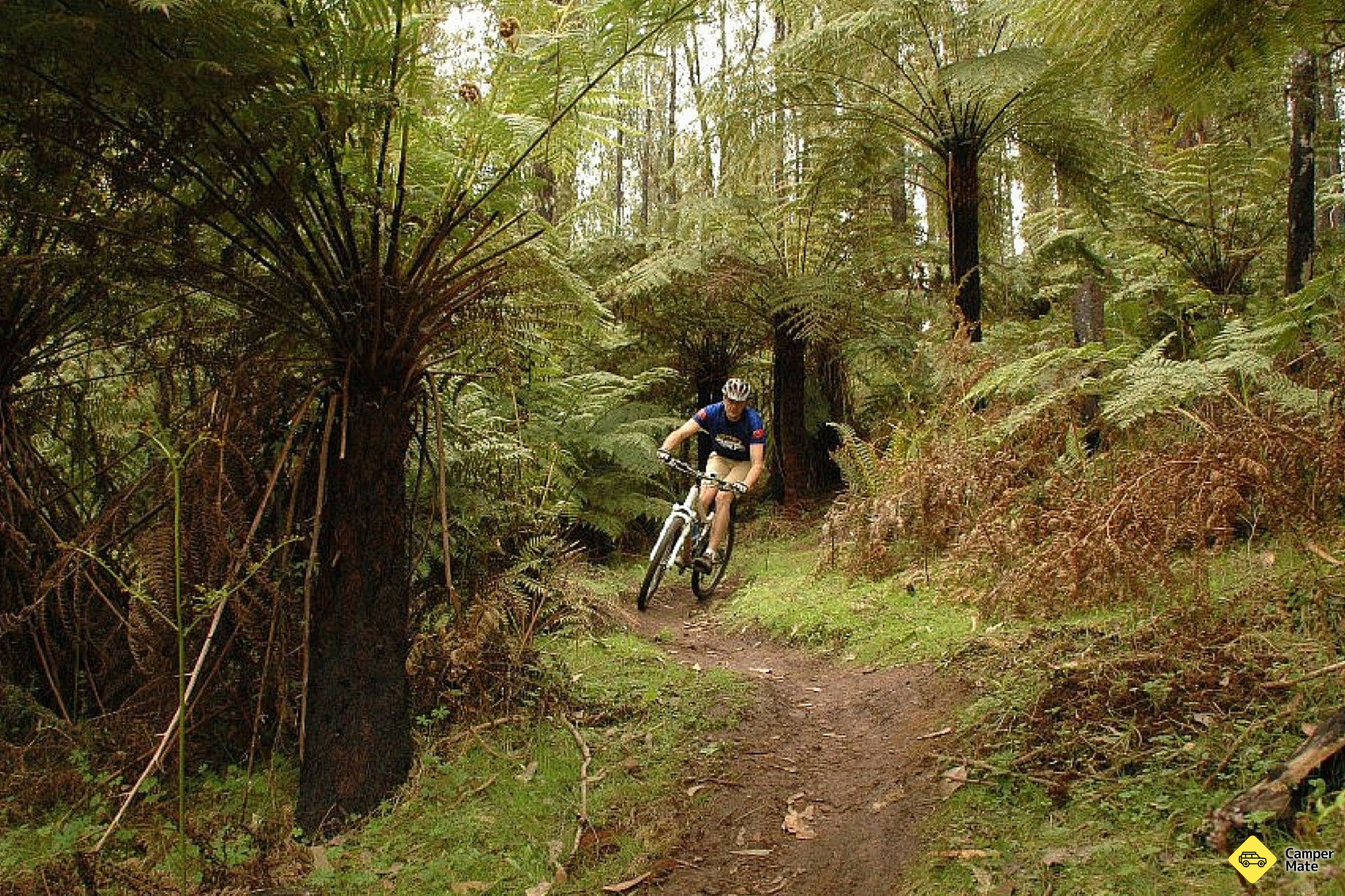 Der Buxton Mountain Bike Path