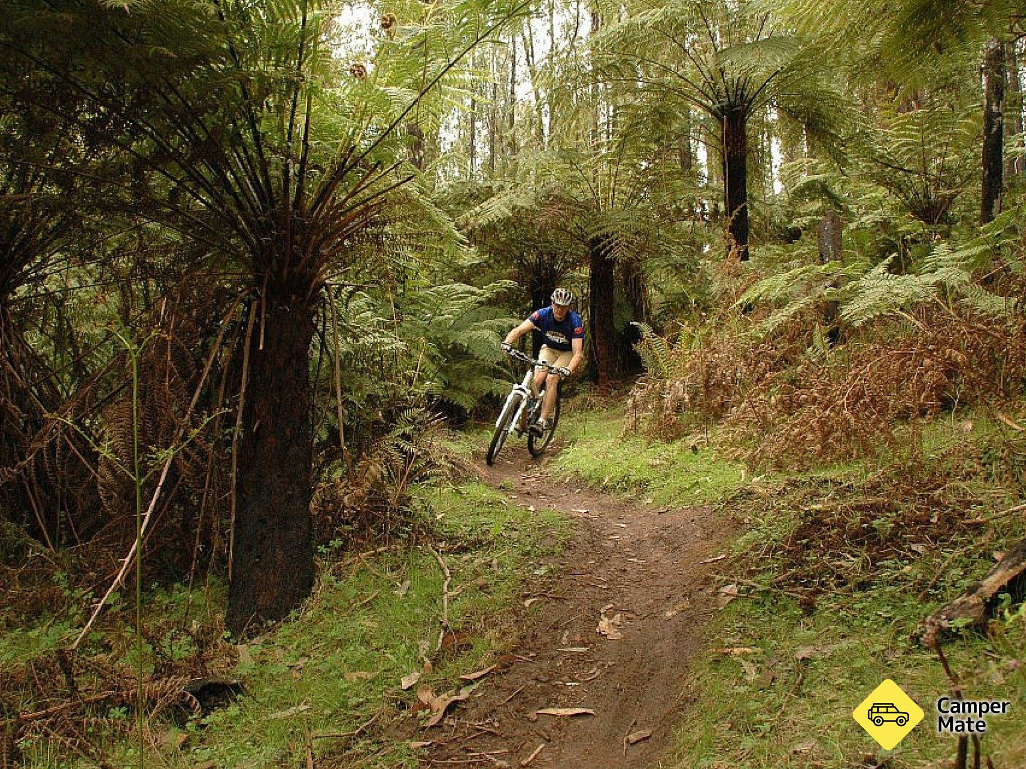 Buxton Mountain Bike Path