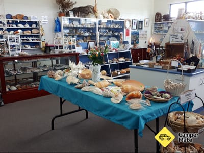 Etichetă: Shell World Yeppoon