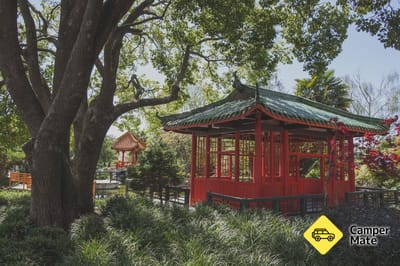 Osmanthus Garden 