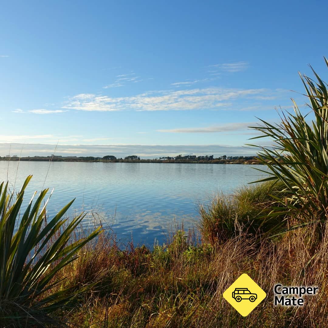 Lake Horowhenua - Image 3