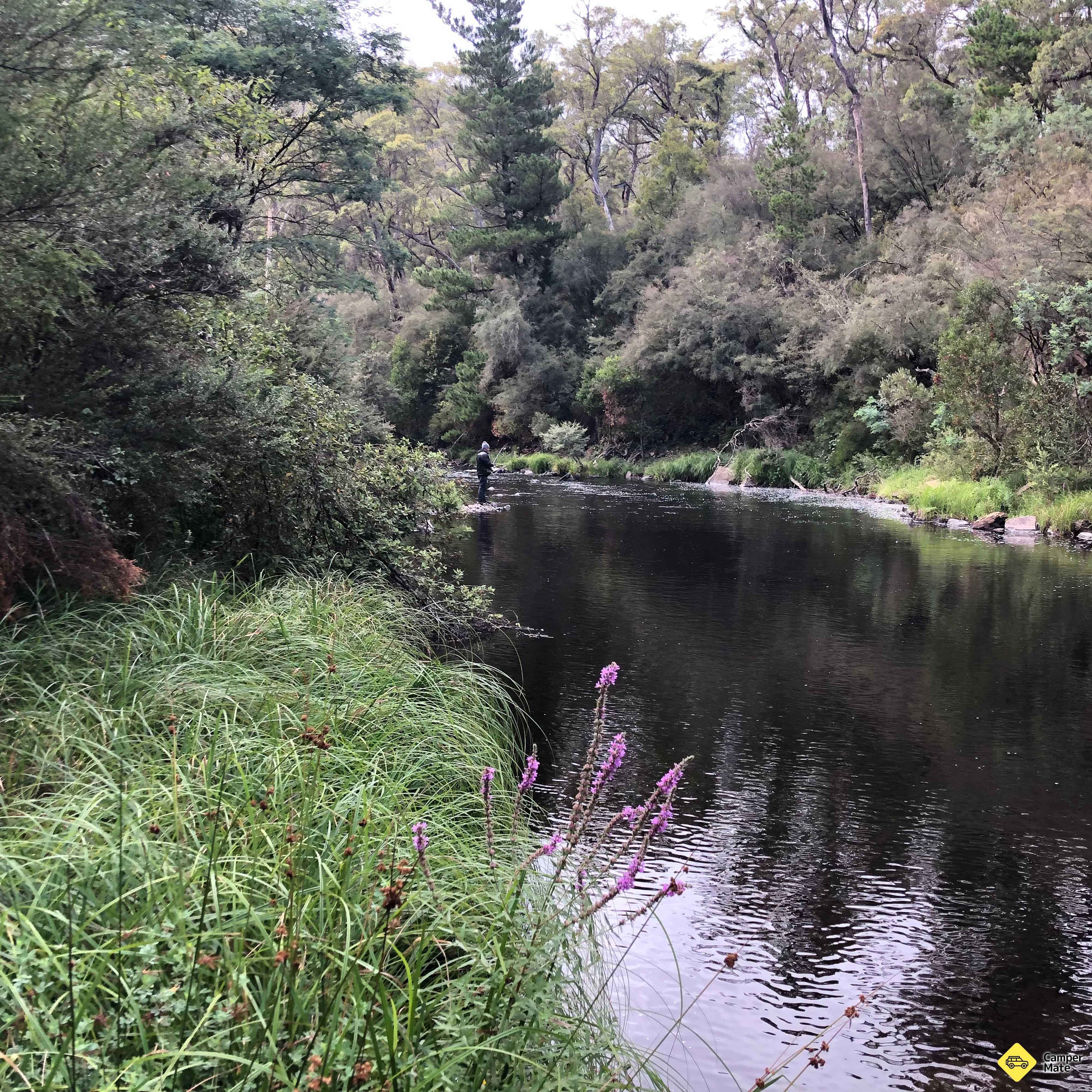 Appartamento per Bulldog Flat Camp Area - Lower Big River - Image 2