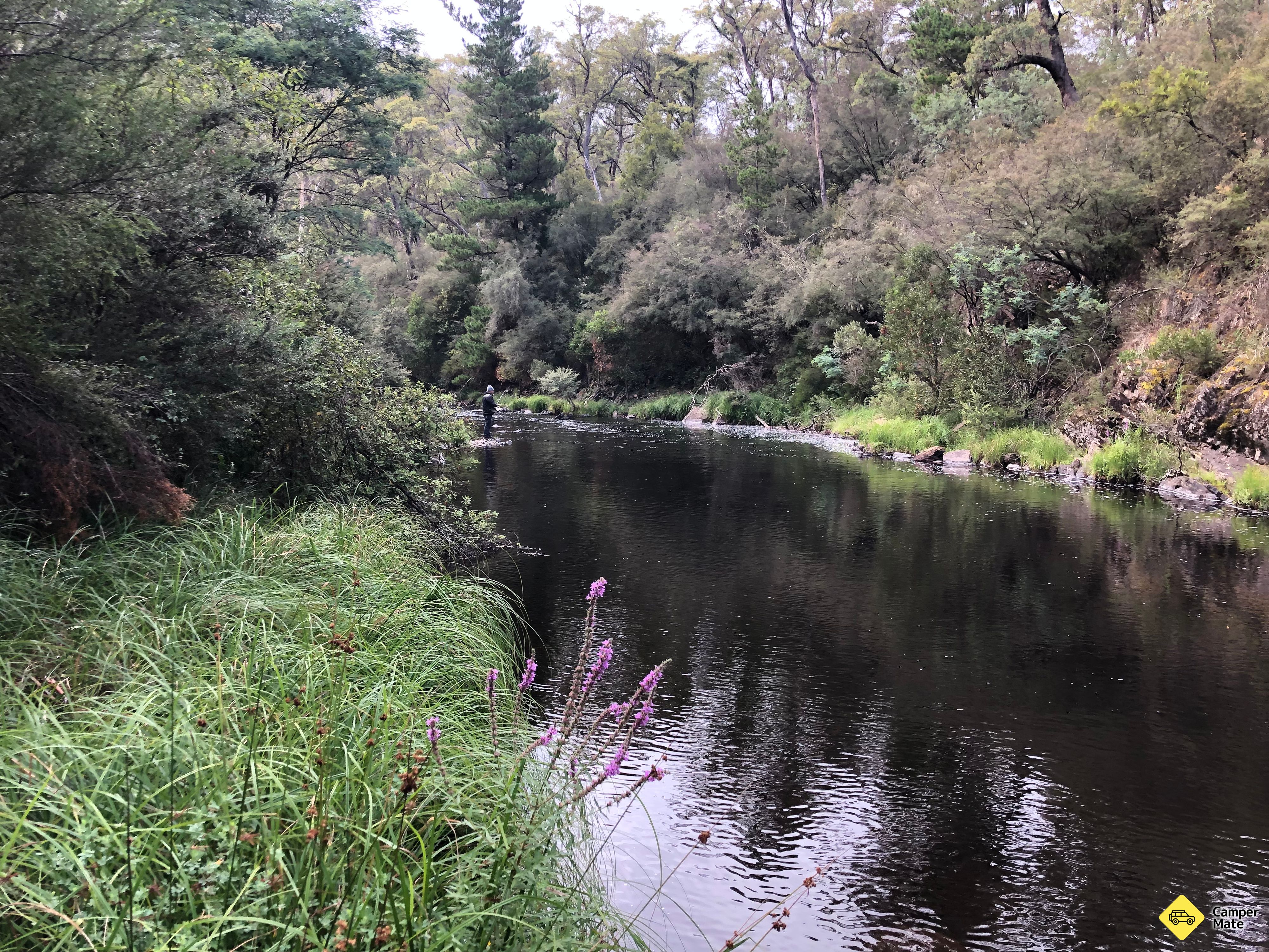 Hotéis em Bulldog Flat Camp Area - Lower Big River - Image 2