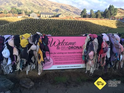 The Cardrona Bra รั้ว