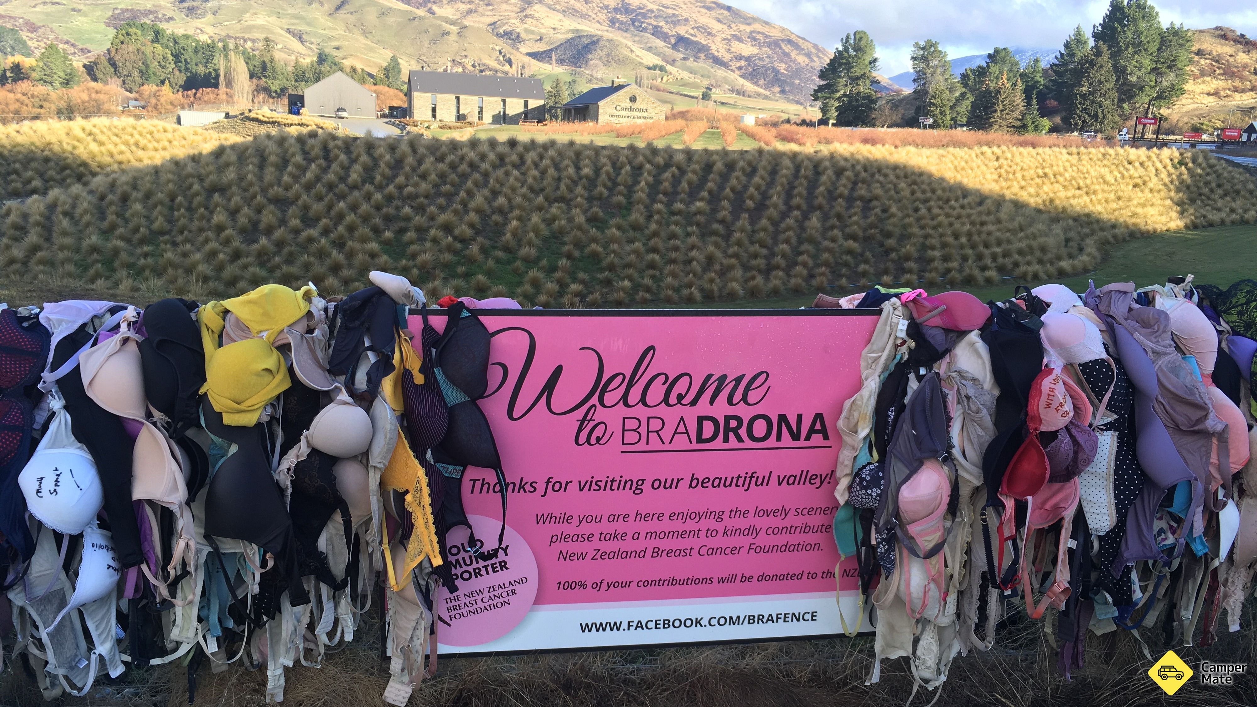 La clôture de Cardrona Bra
