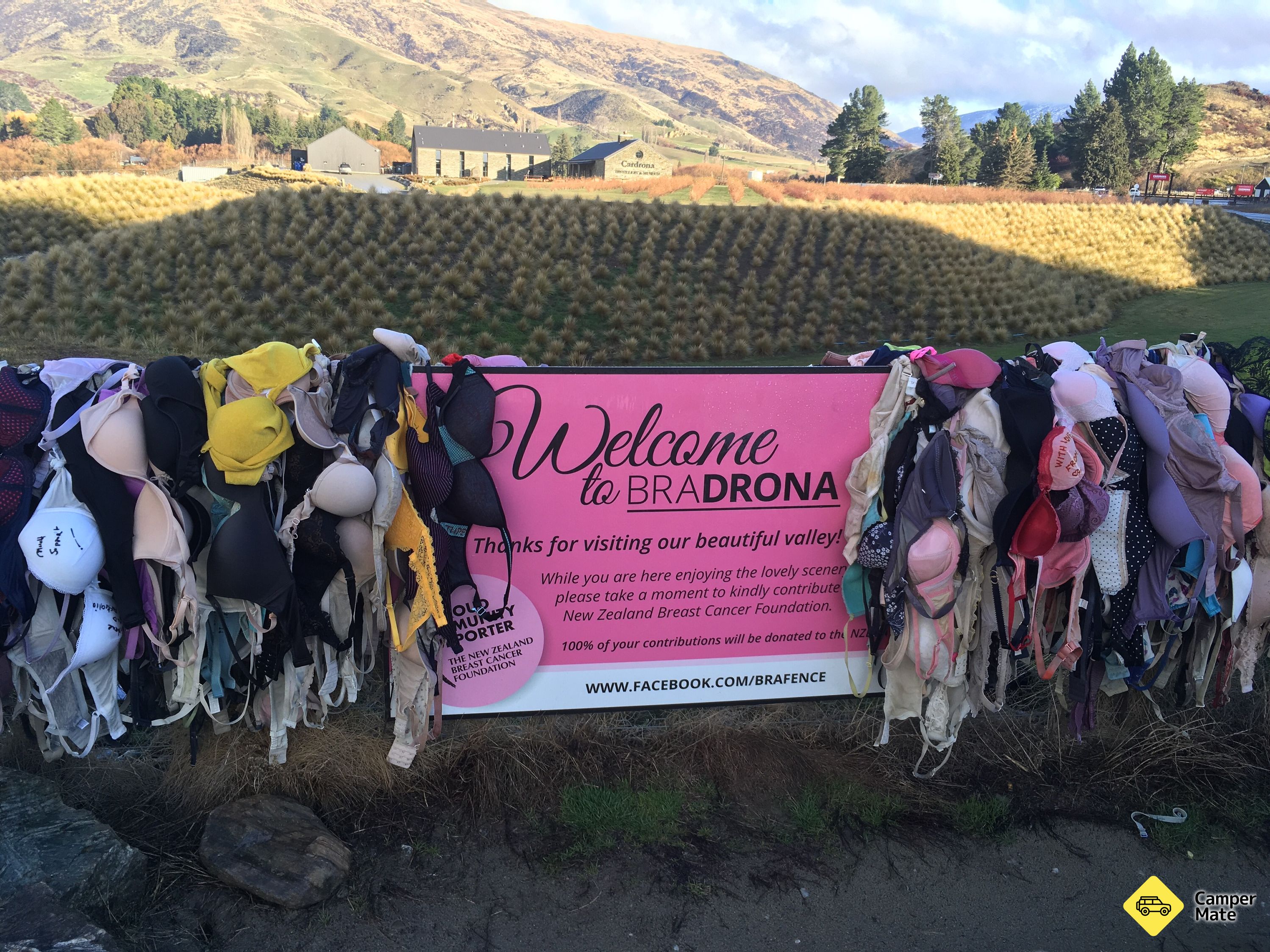 Cardrona Bra Hegn