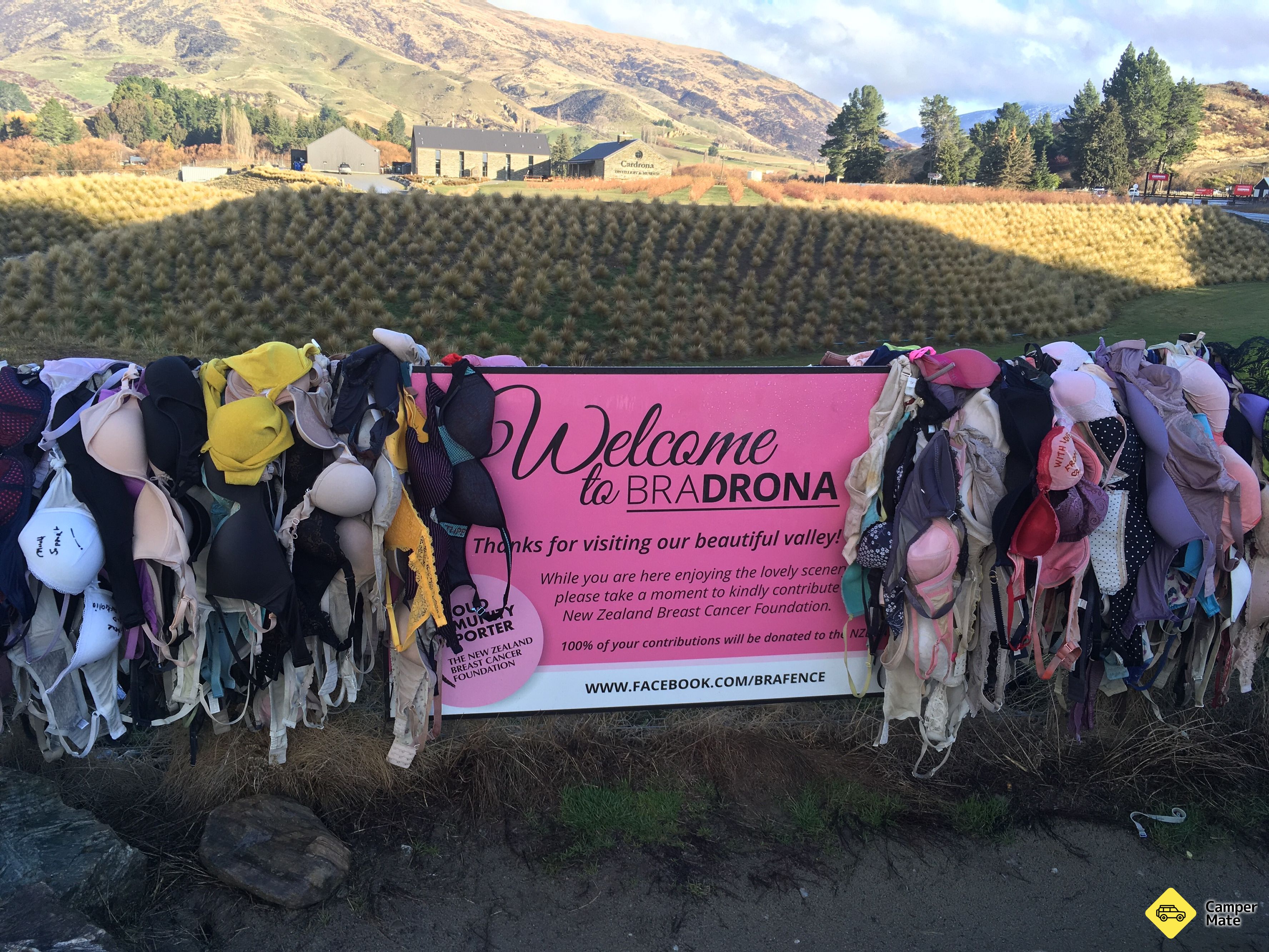 The Cardrona Bra รั้ว