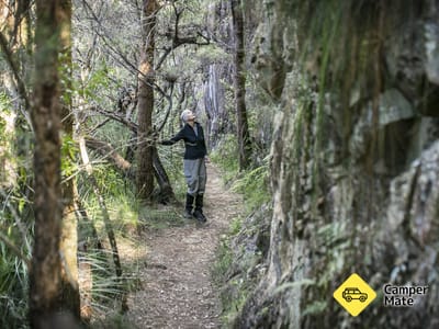 Daves Creek Circuit