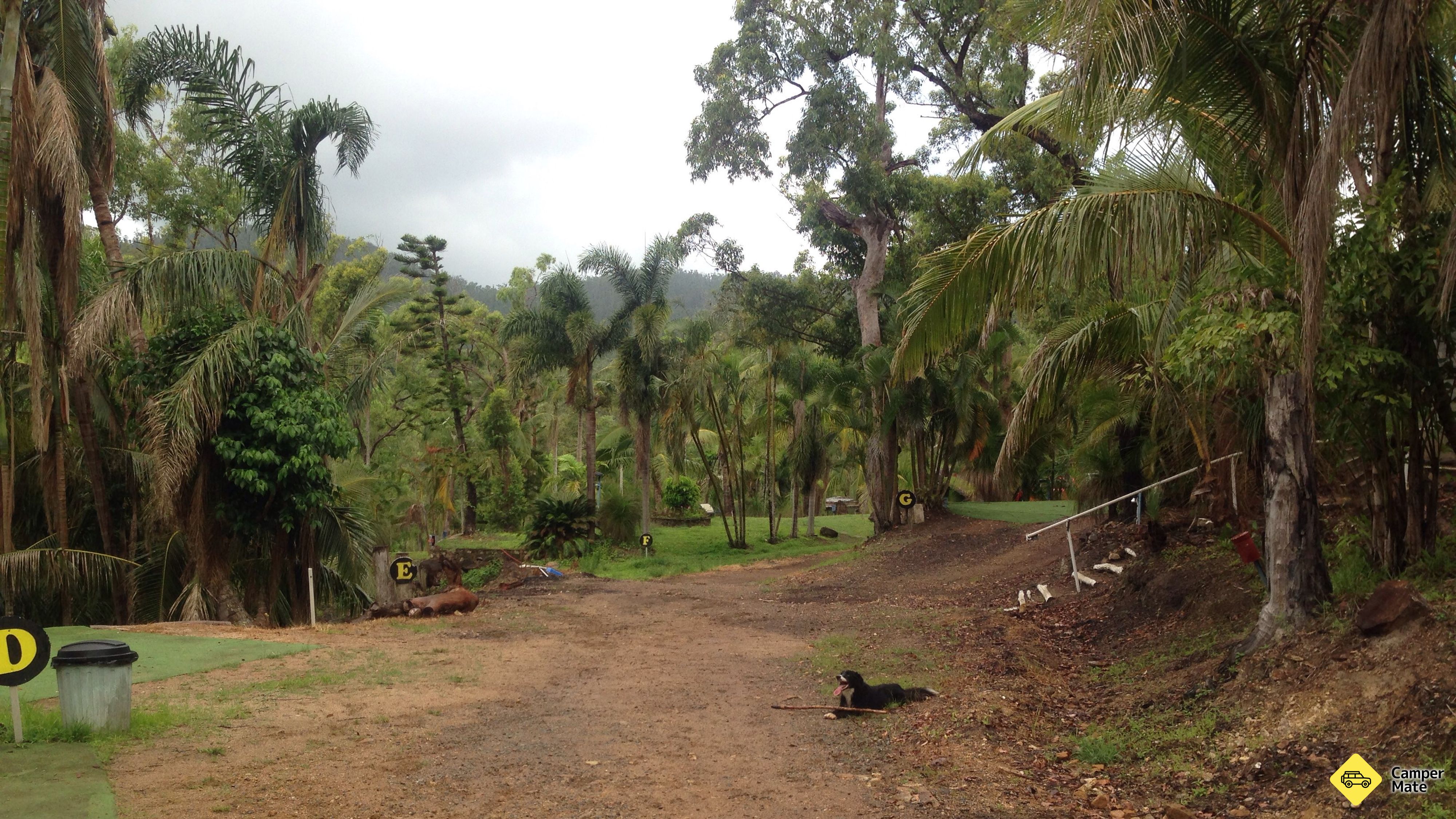 Taylorwood Tourist Park