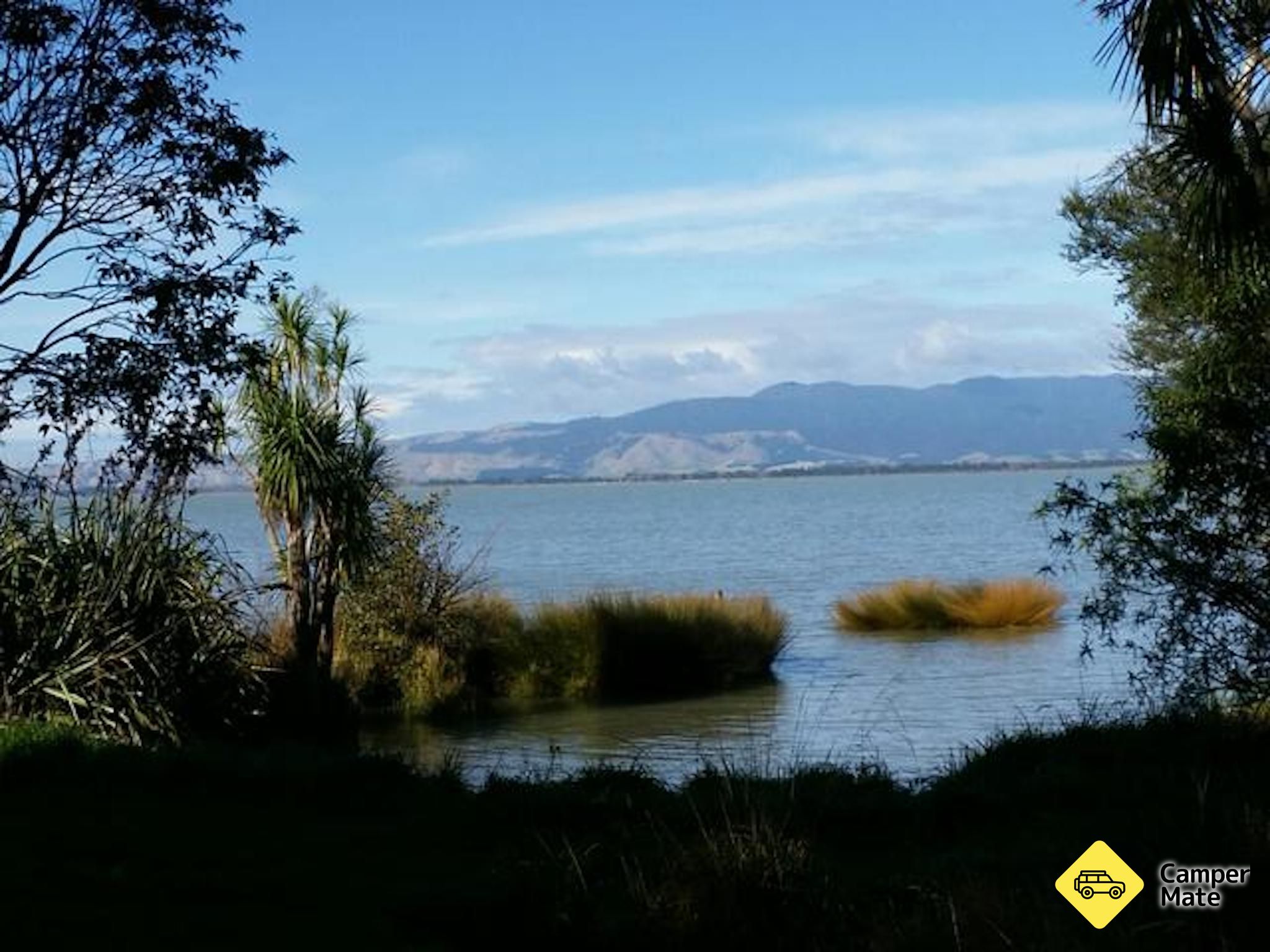 Shore Scenic Reserve - Image 2