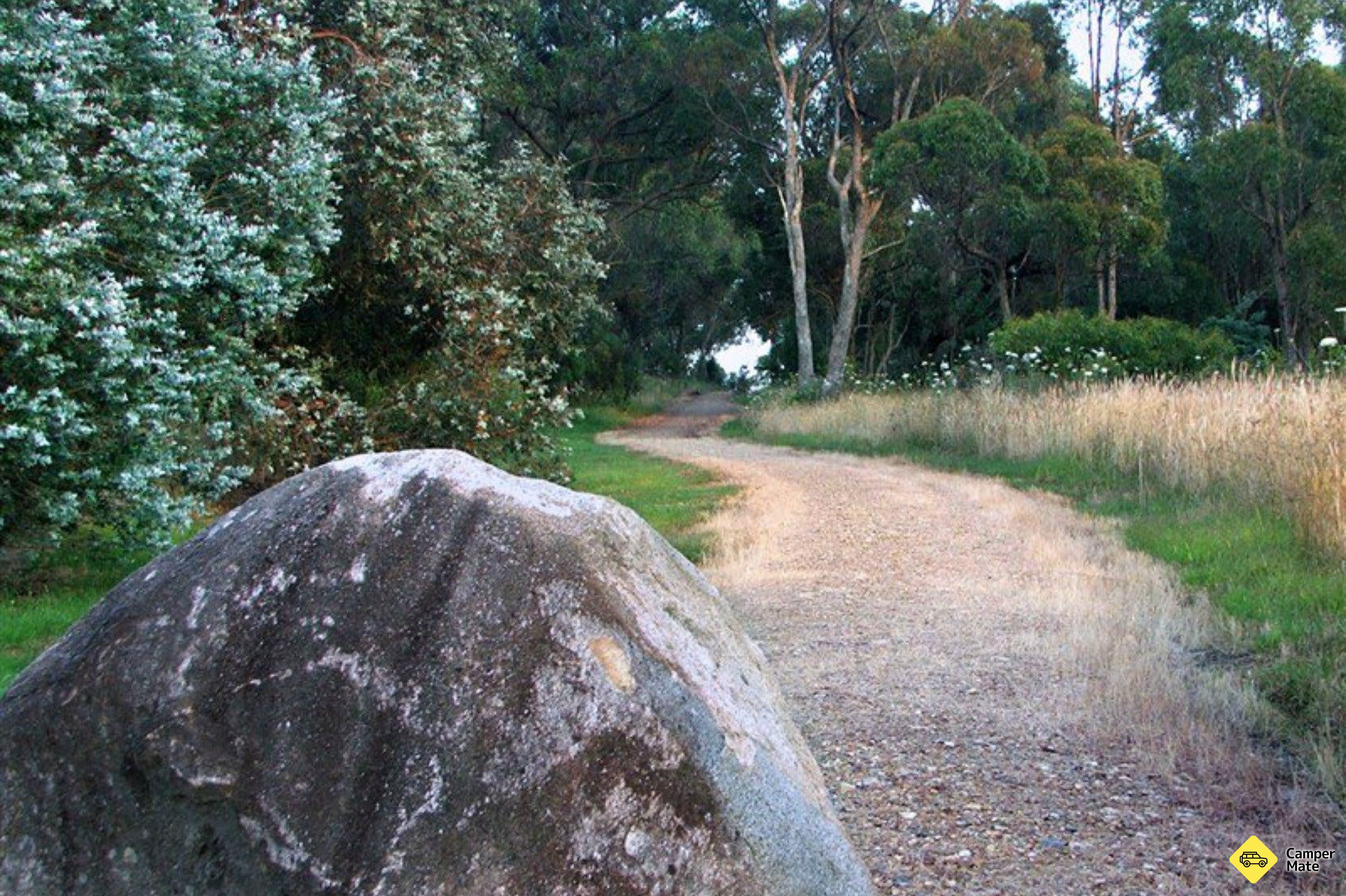 Le Mount Mutton Walking Trail