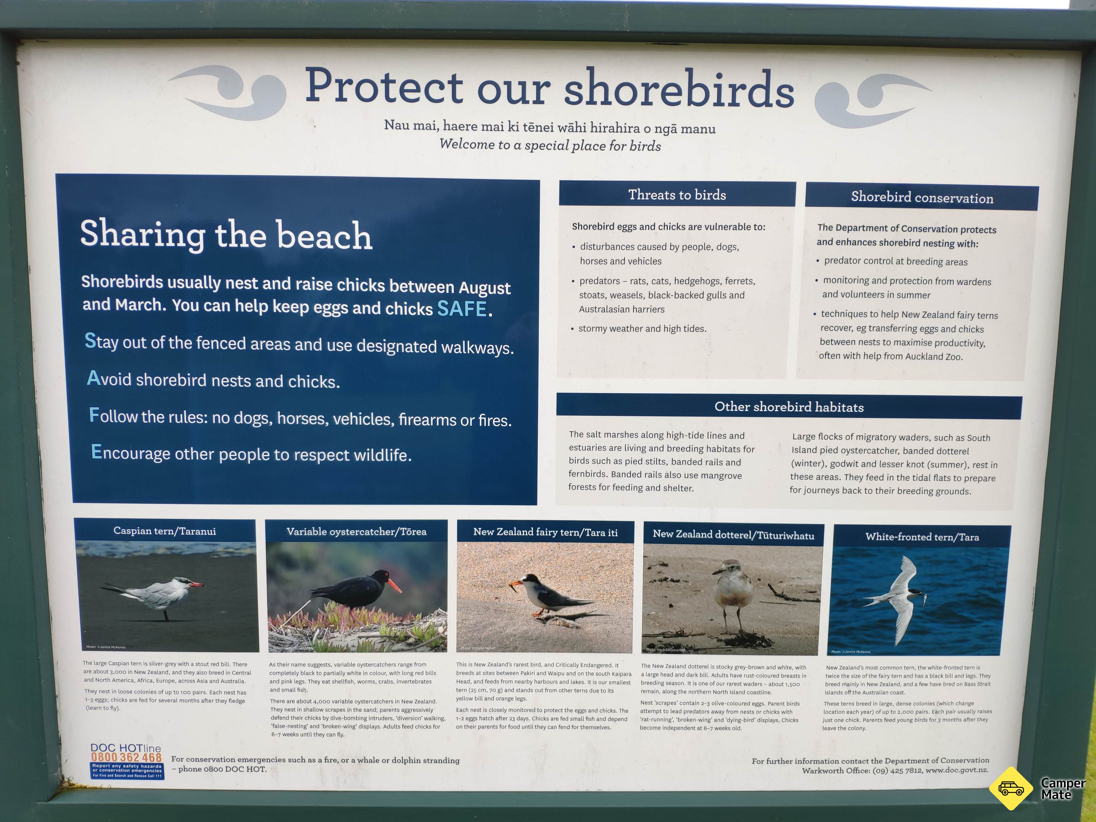 Birds Beach - Image 2