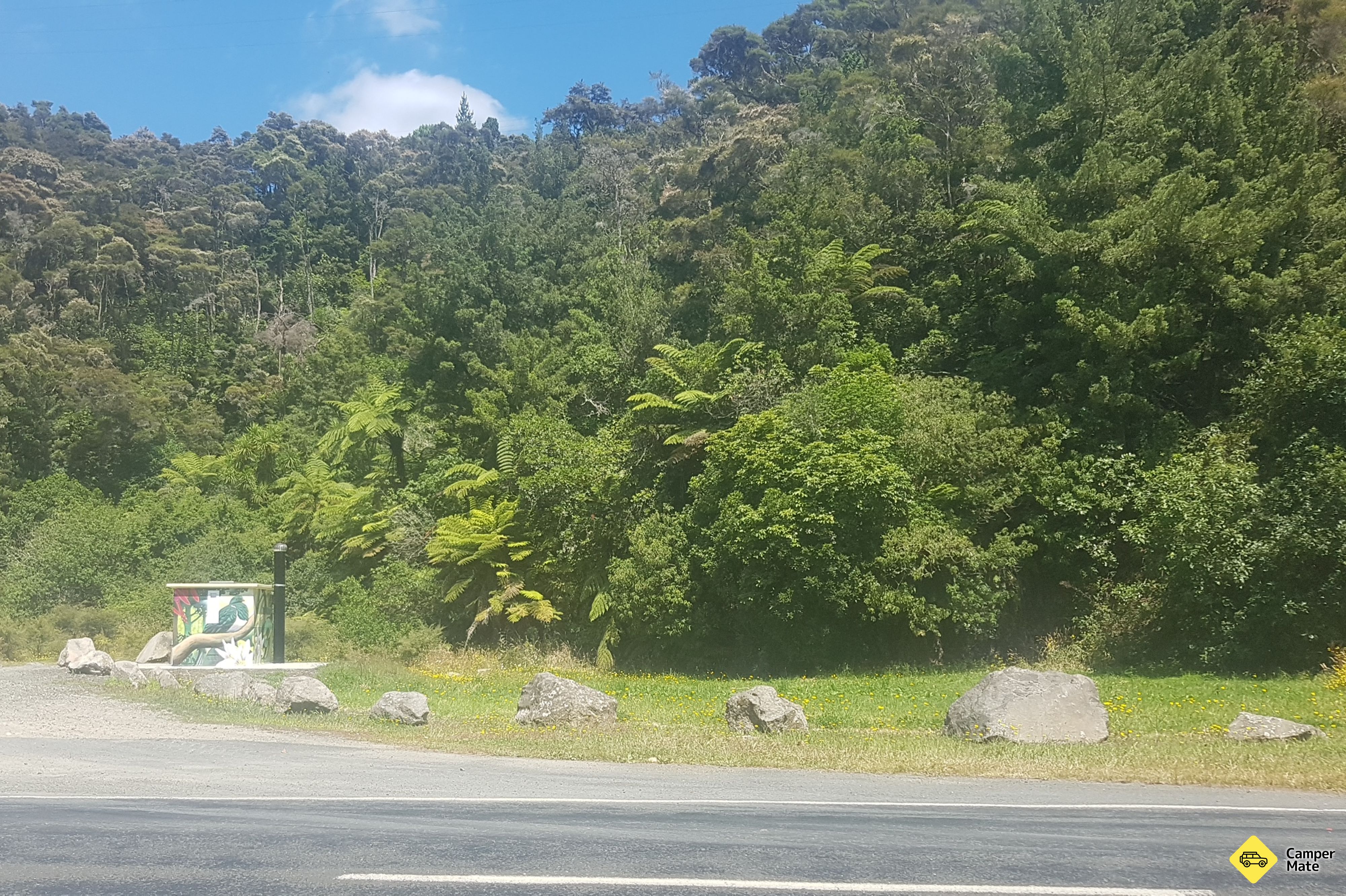 Waipapa Hydro Dam