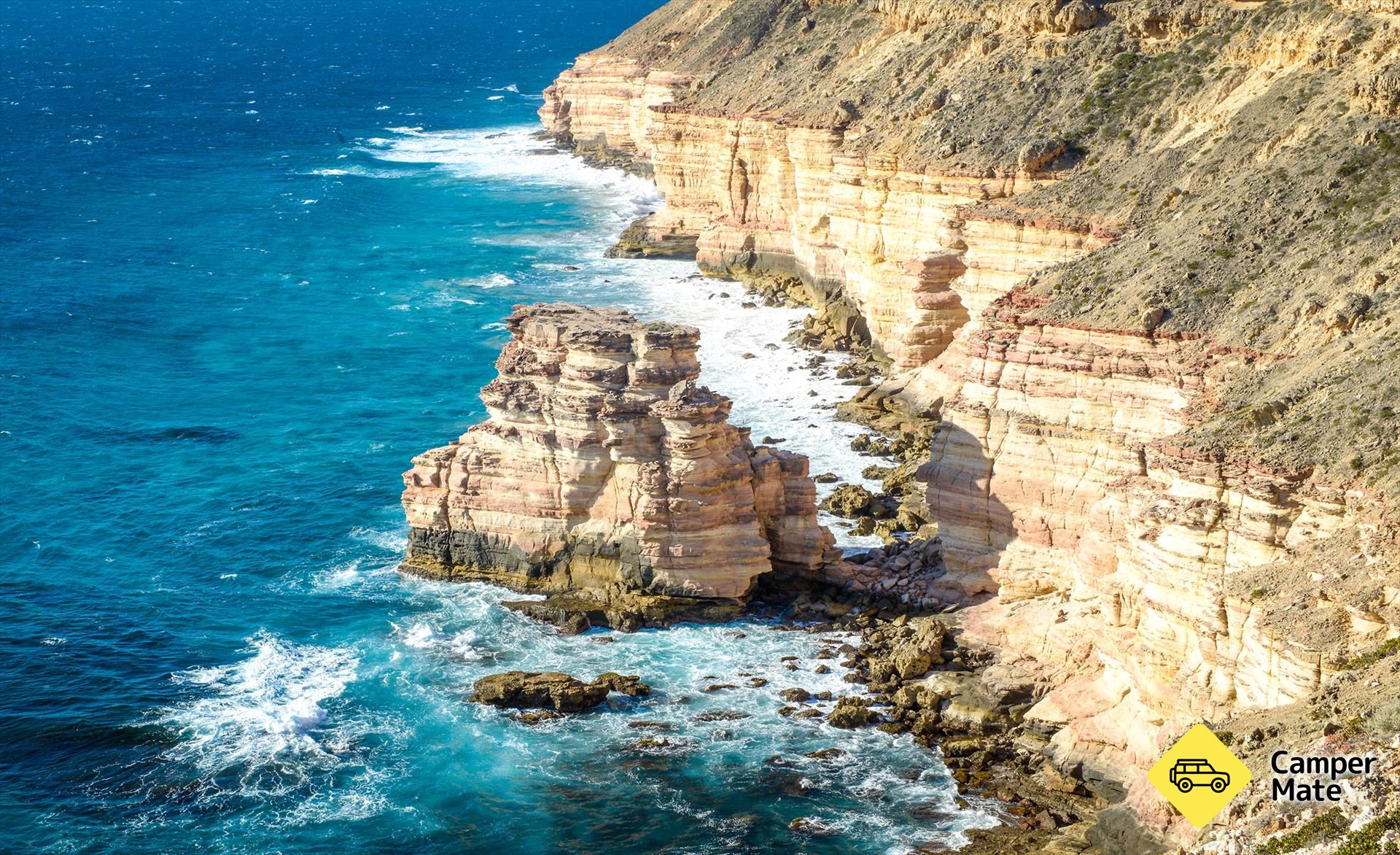 مشاهدة فيلم Blue Tongue Photo Tours