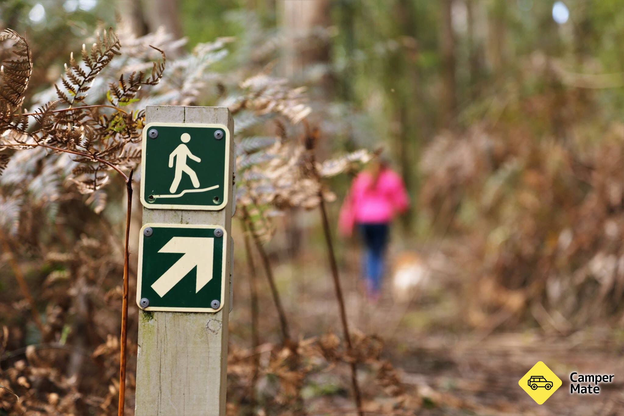 Kendalls Camping Area - Image 3