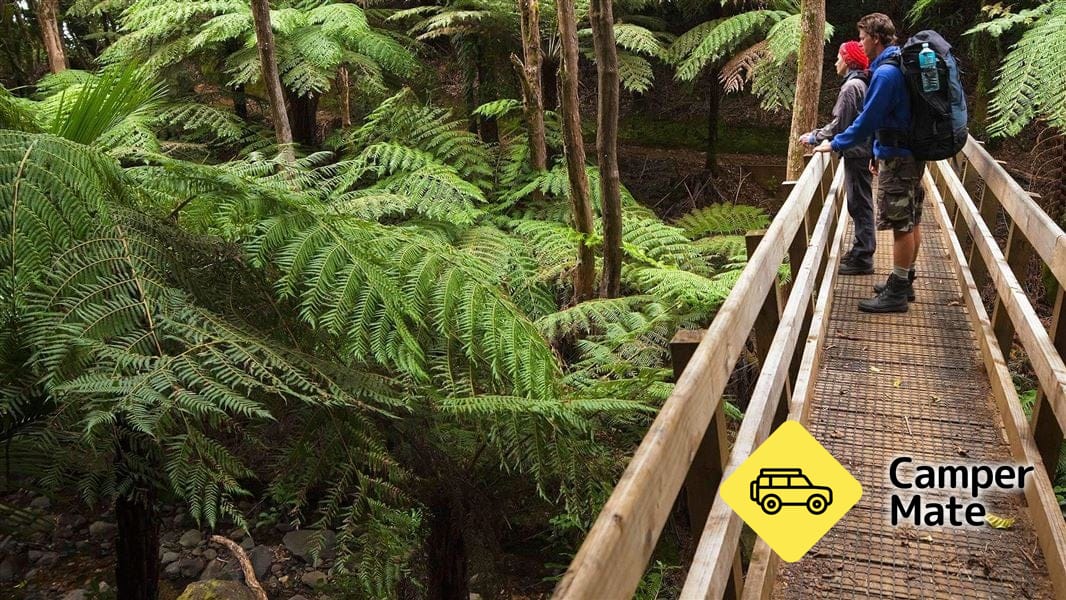 Aotea Scientific Reserve