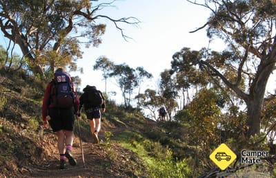 Mt Remarkable Summit Trail