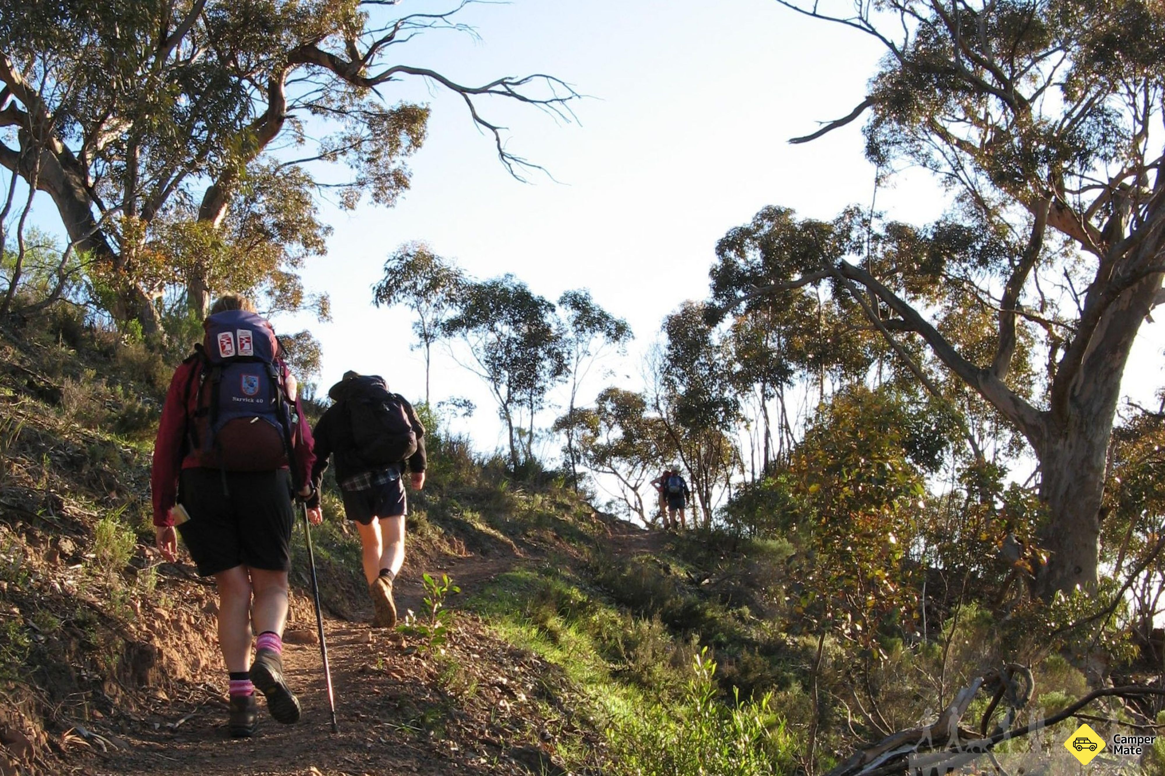 הר המופלא Summit Trail
