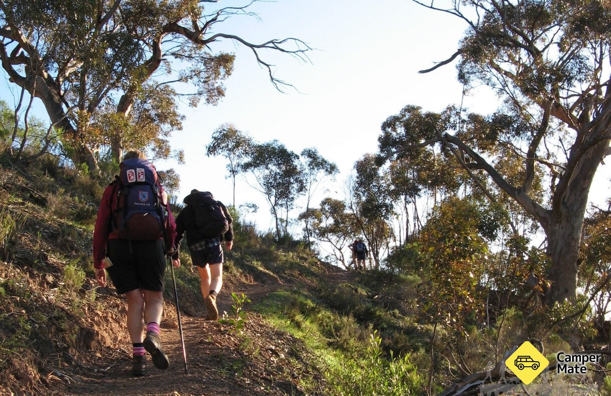 Mt Remarkable Summit Trail