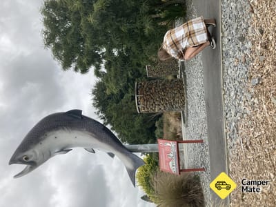 Ikonischer Lachs von Rakaia