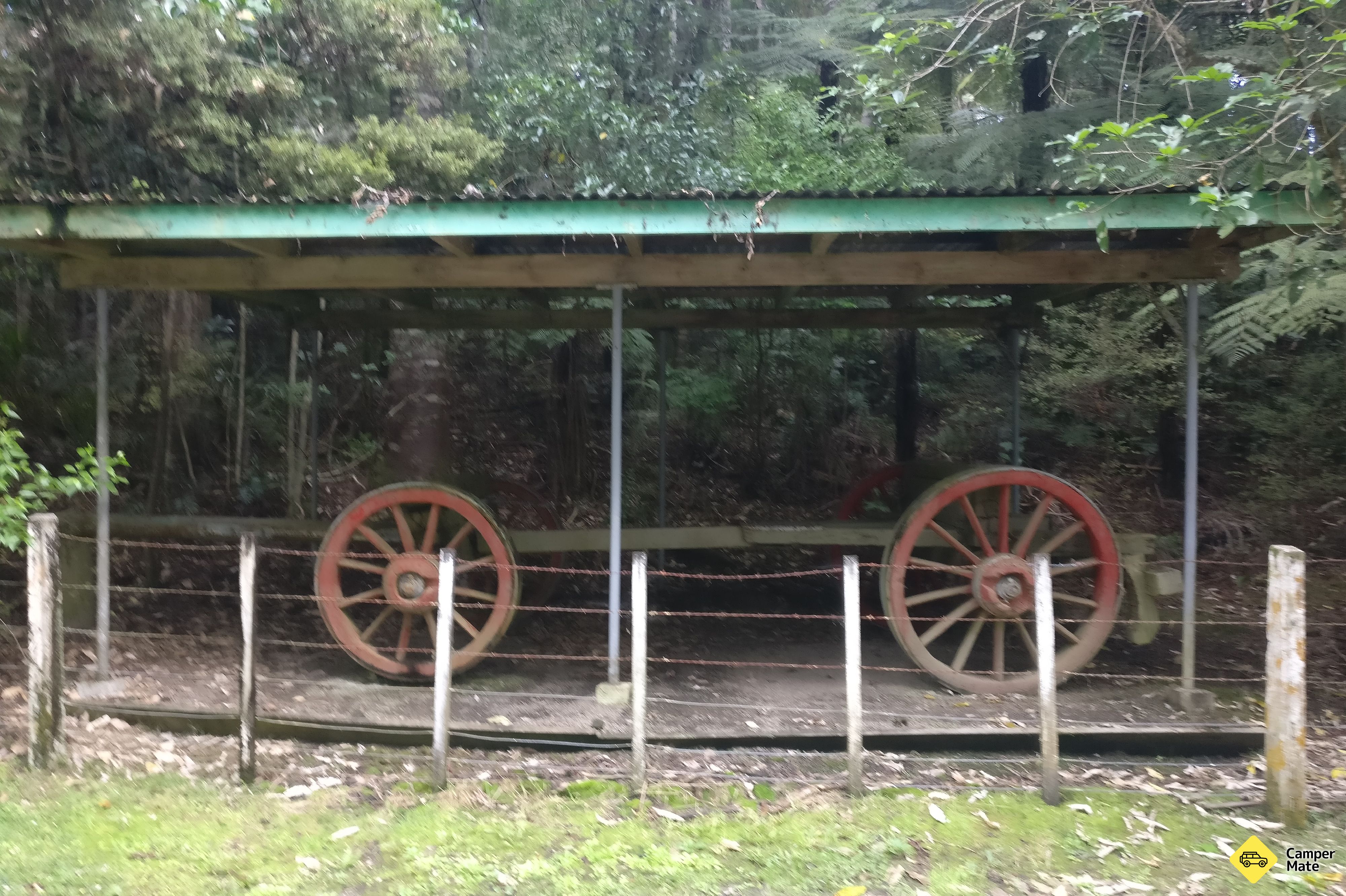 Kauri Bushman em Keep Walk - Image 3