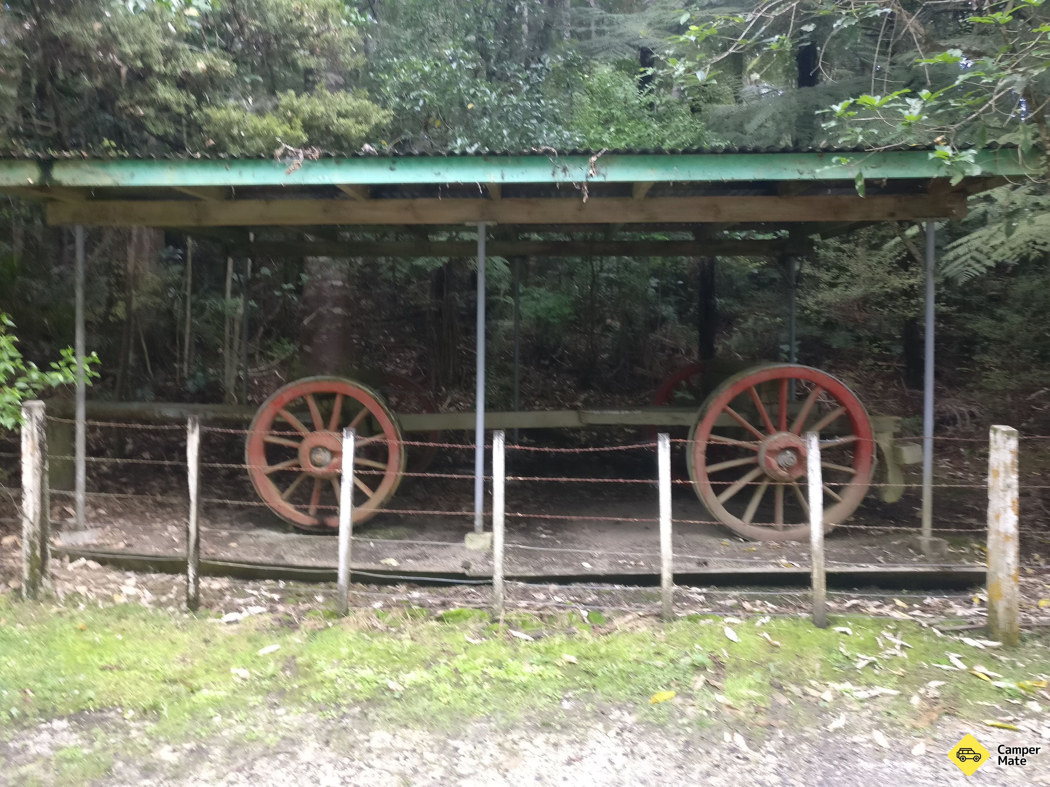 Kauri Bushman em Keep Walk - Image 3
