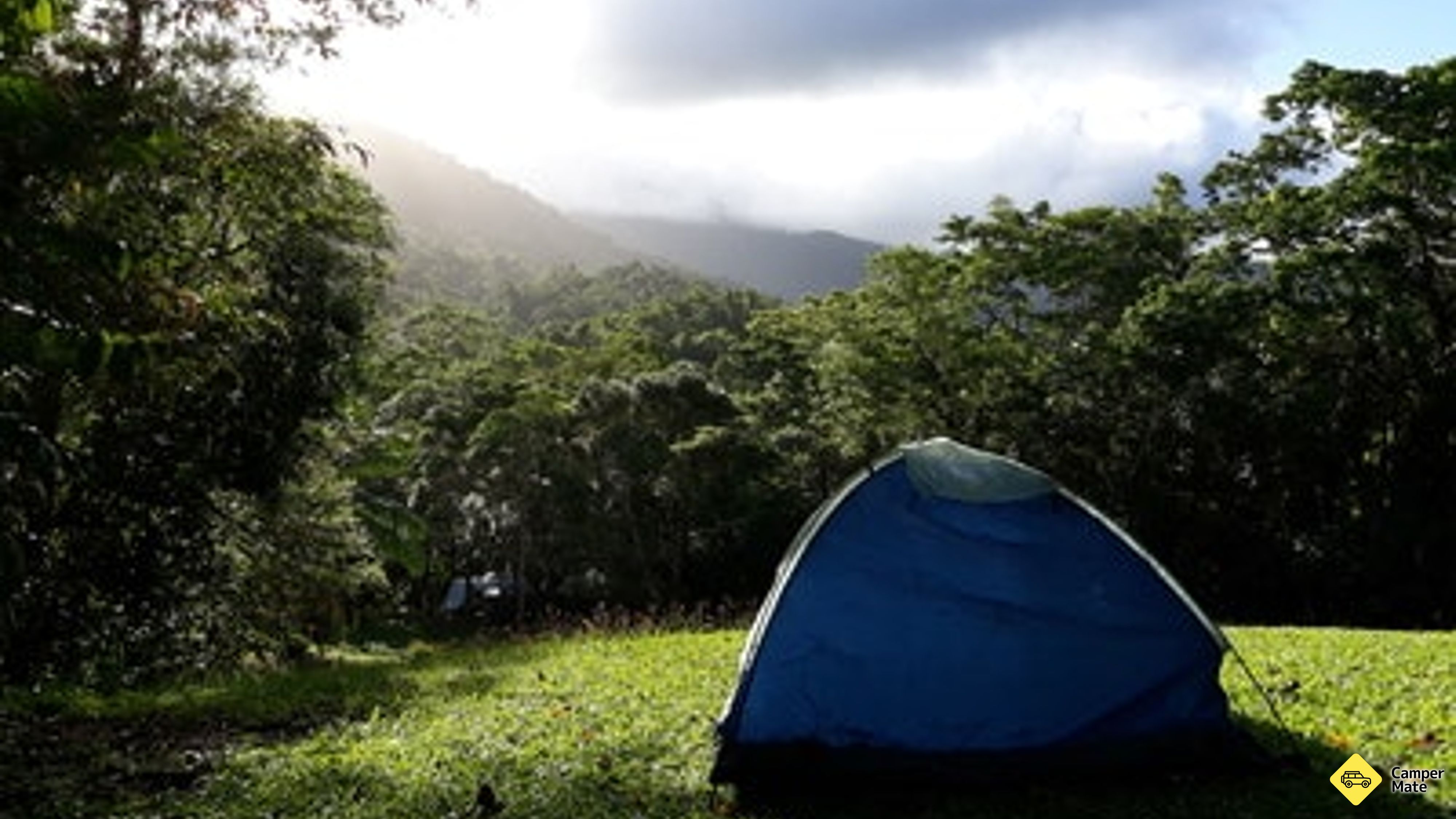 Daintree Rainforest गाँव