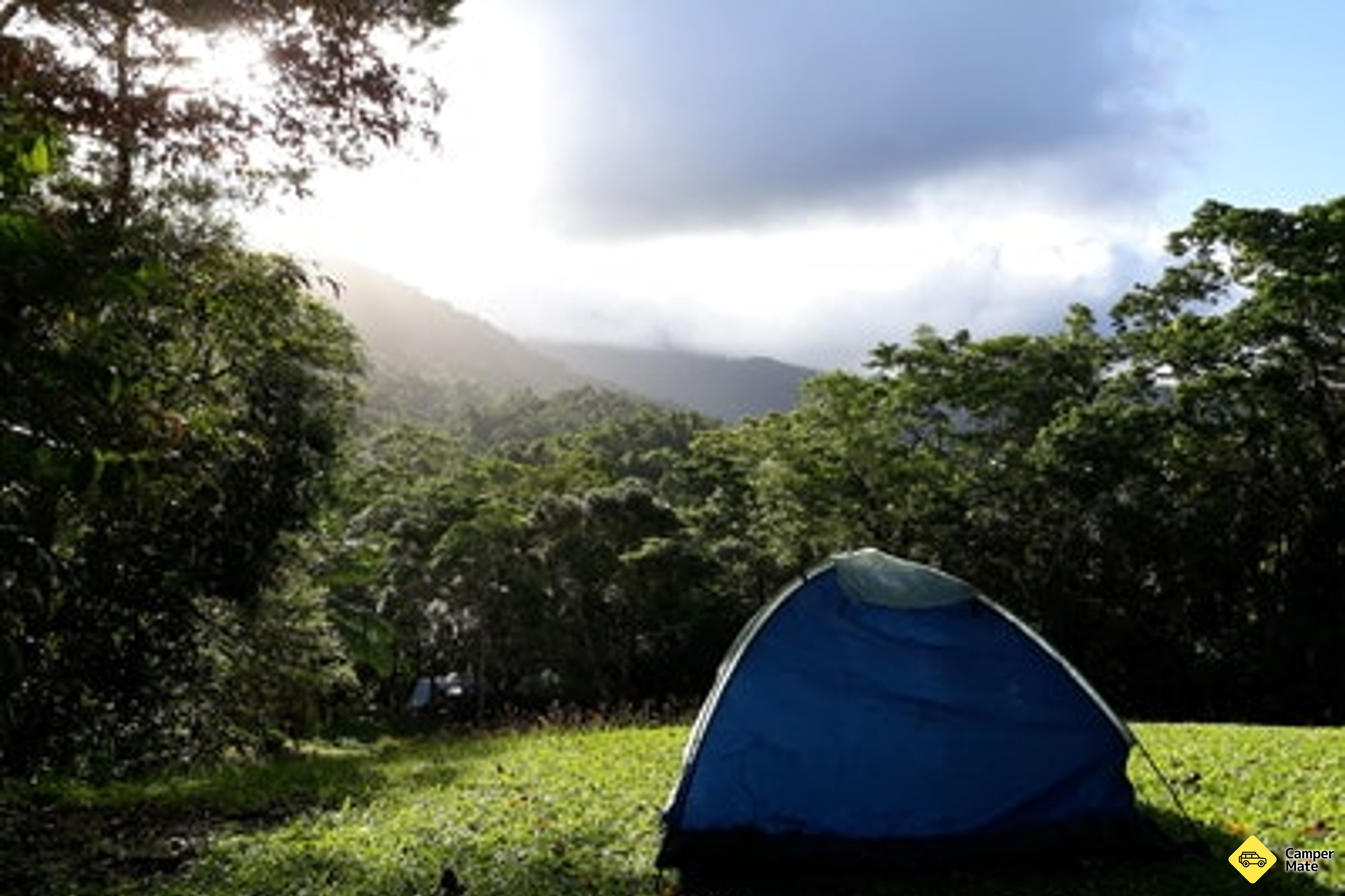 Daintree Rainforest गाँव