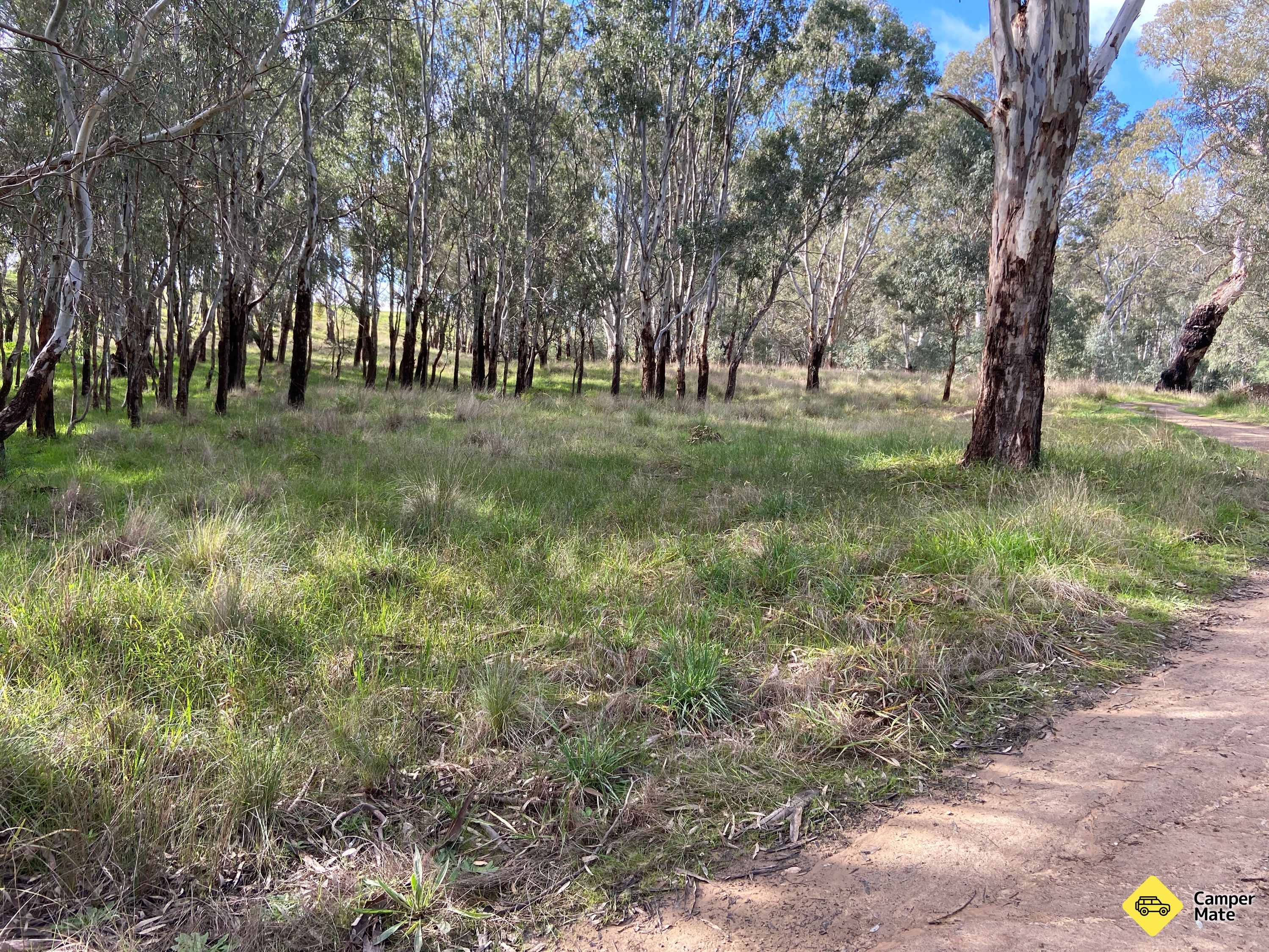 Andersons Beach - Murchison State Forest