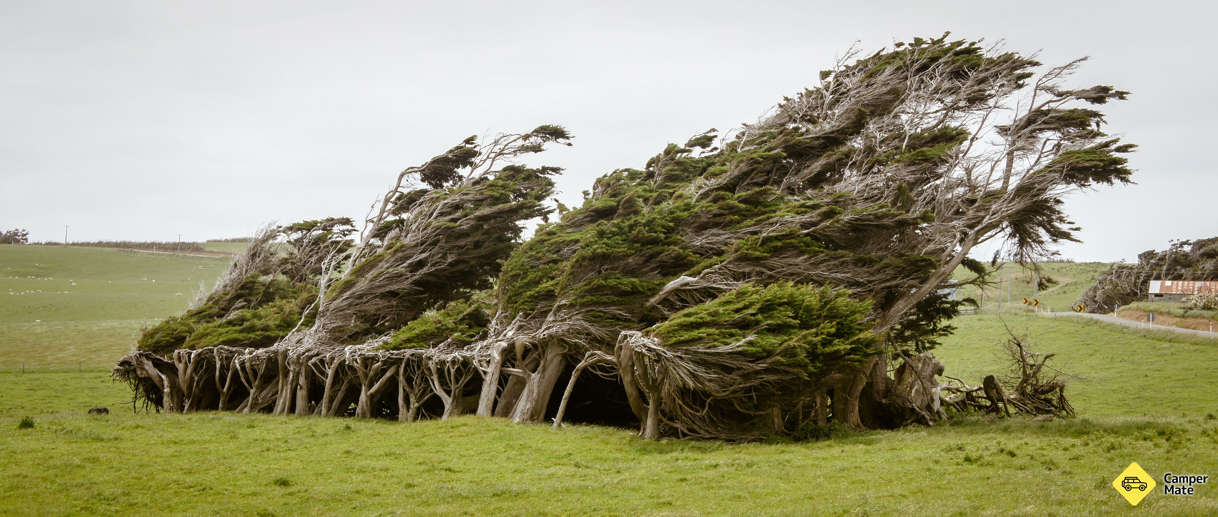Slope Point - New Zealand's southern most place - Image 2