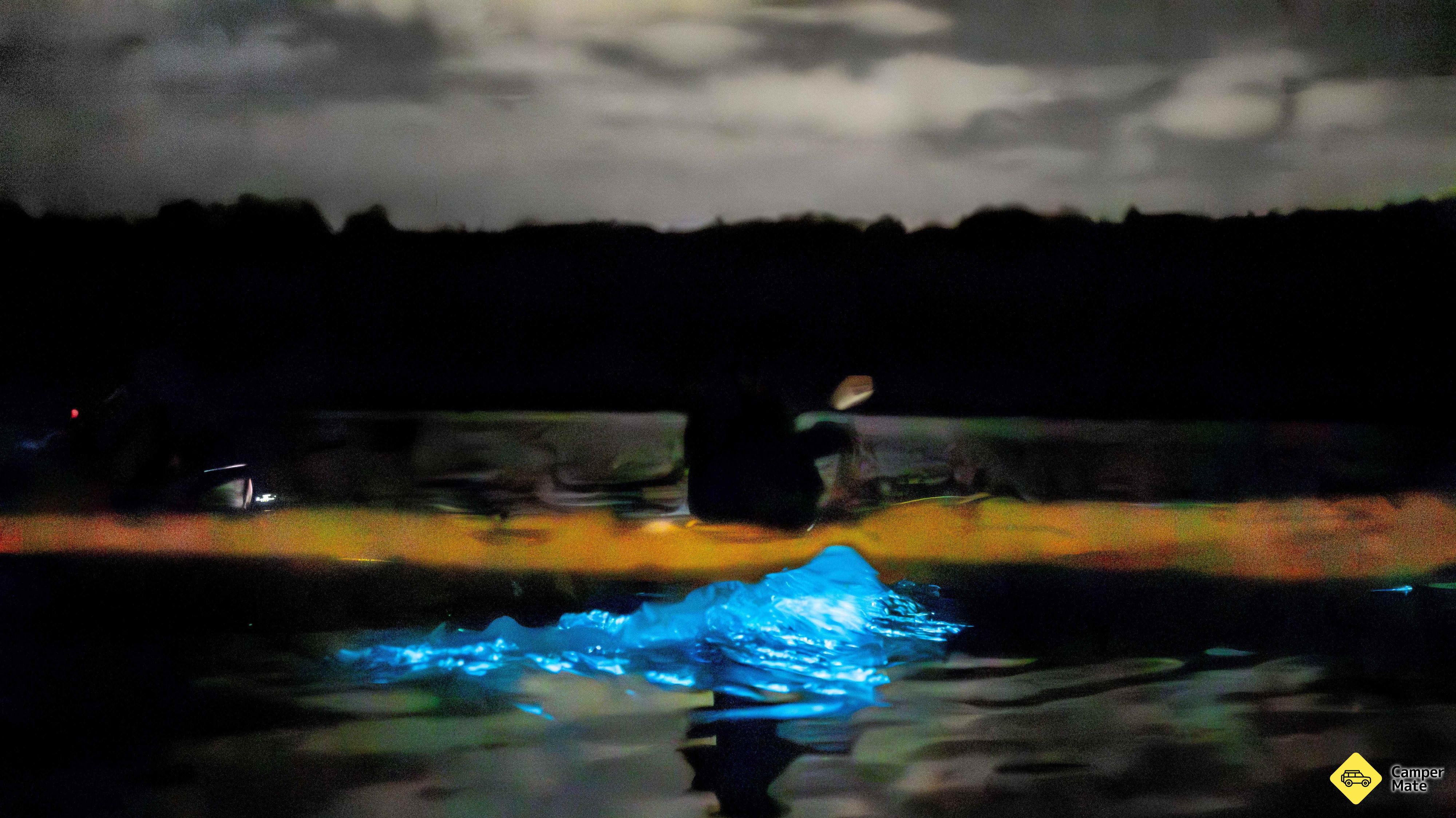 Auckland Bioluminescence Kayak Tour